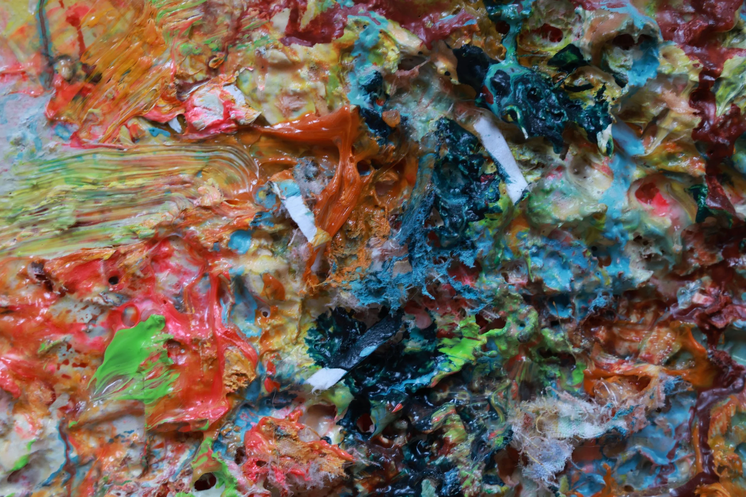 Phoebe_extreme close up of feathers 7_ARTIST LIZ ALDERMAN_ART_KUNST_GEMISCHTE MEDIENMALEREI.JPG