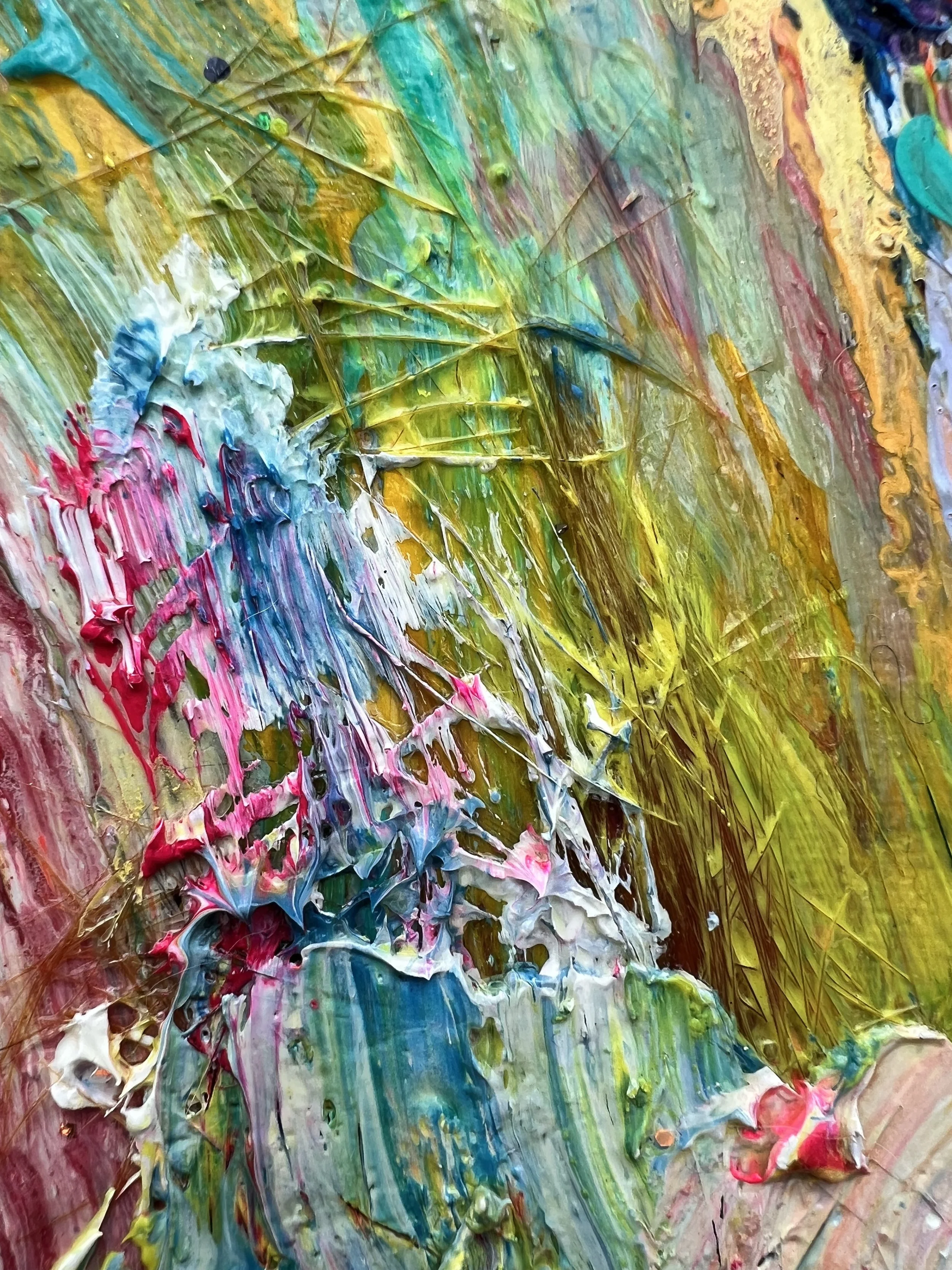 Brody_extreme close up 17_ARTIST LIZ ALDERMAN_BIRD PAINTING.jpeg