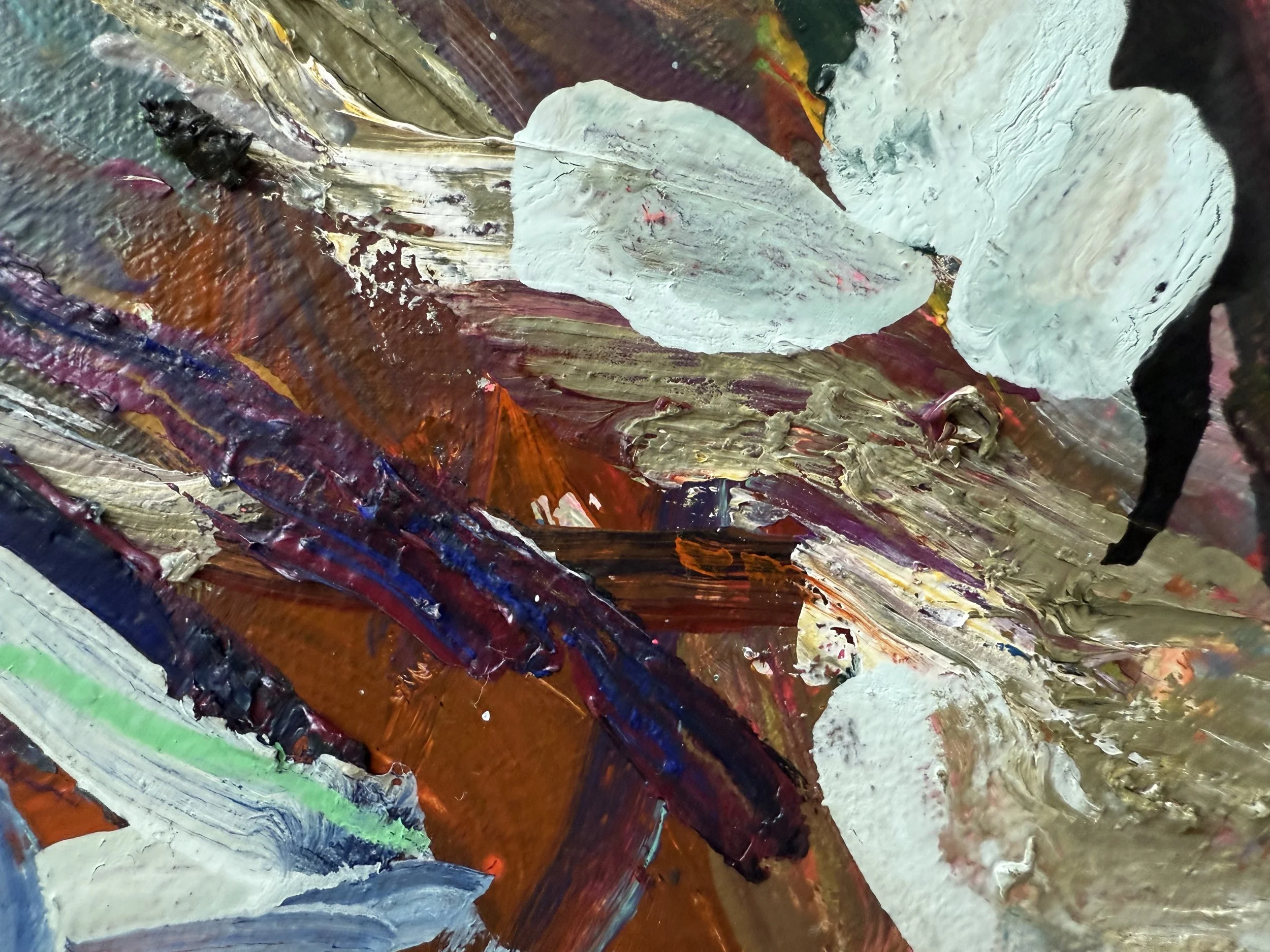 Josh_zoom 14_ARTIST LIZ ALDERMAN_BIRD PAINTING.jpeg