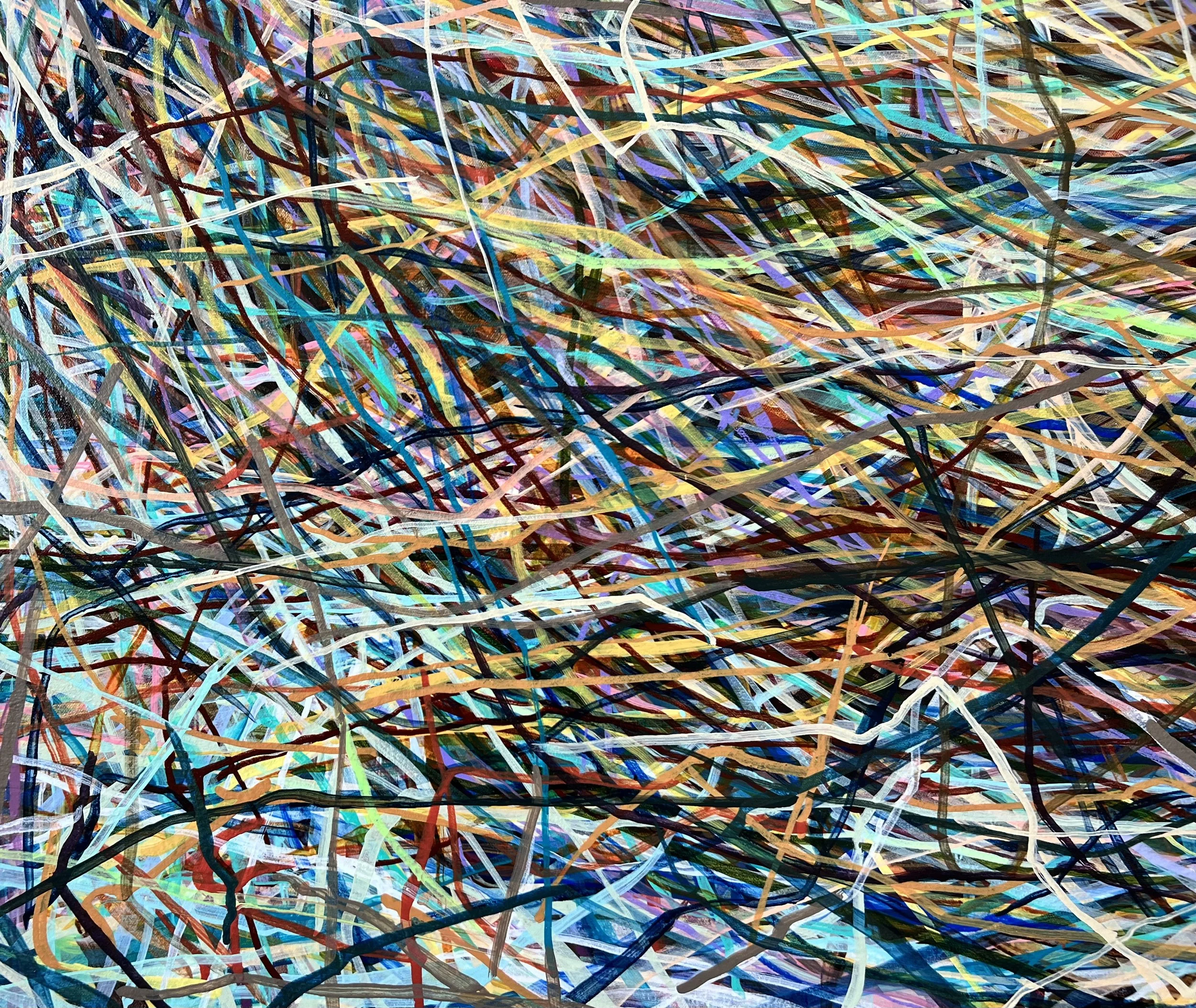 Zoomerang_detail 13_ARTIST LIZ ALDERMAN.jpeg