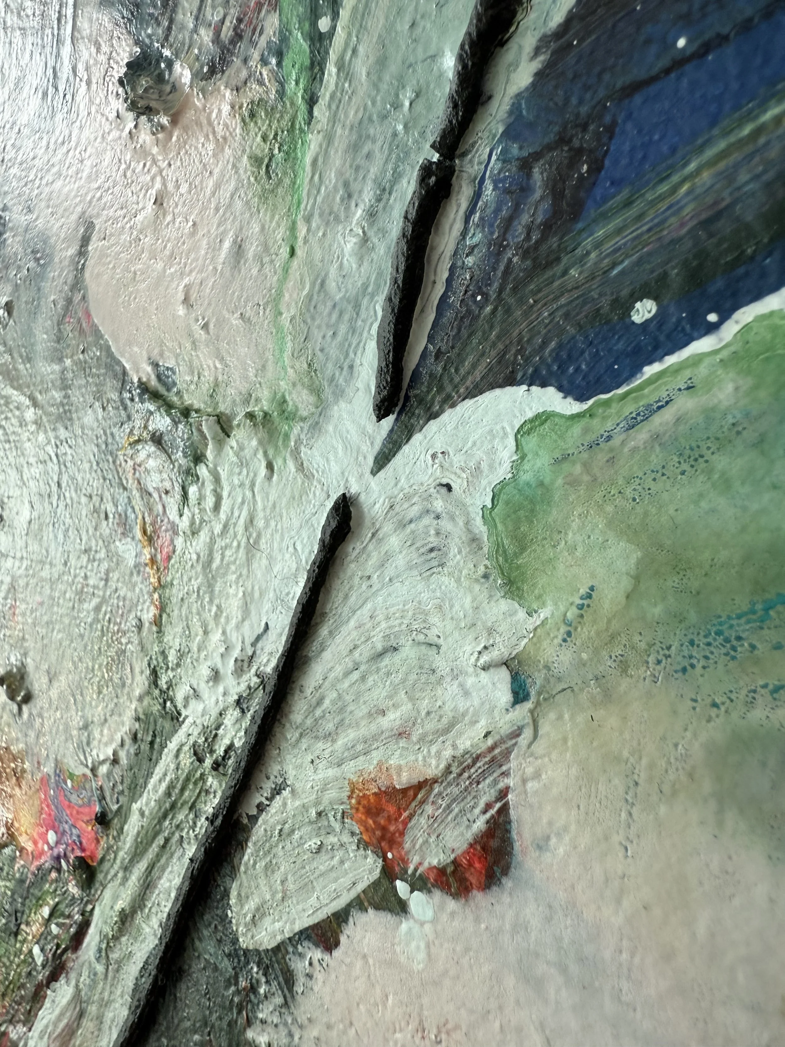 Josh_close up 29_ARTIST LIZ ALDERMAN_BIRD PAINTING.jpeg