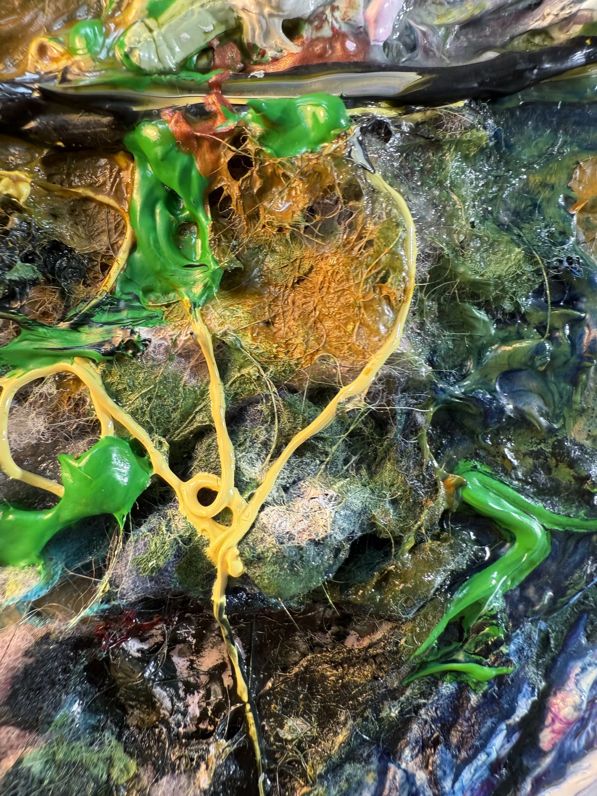 Fred_zoom 21_ARTIST LIZ ALDERMAN.jpeg