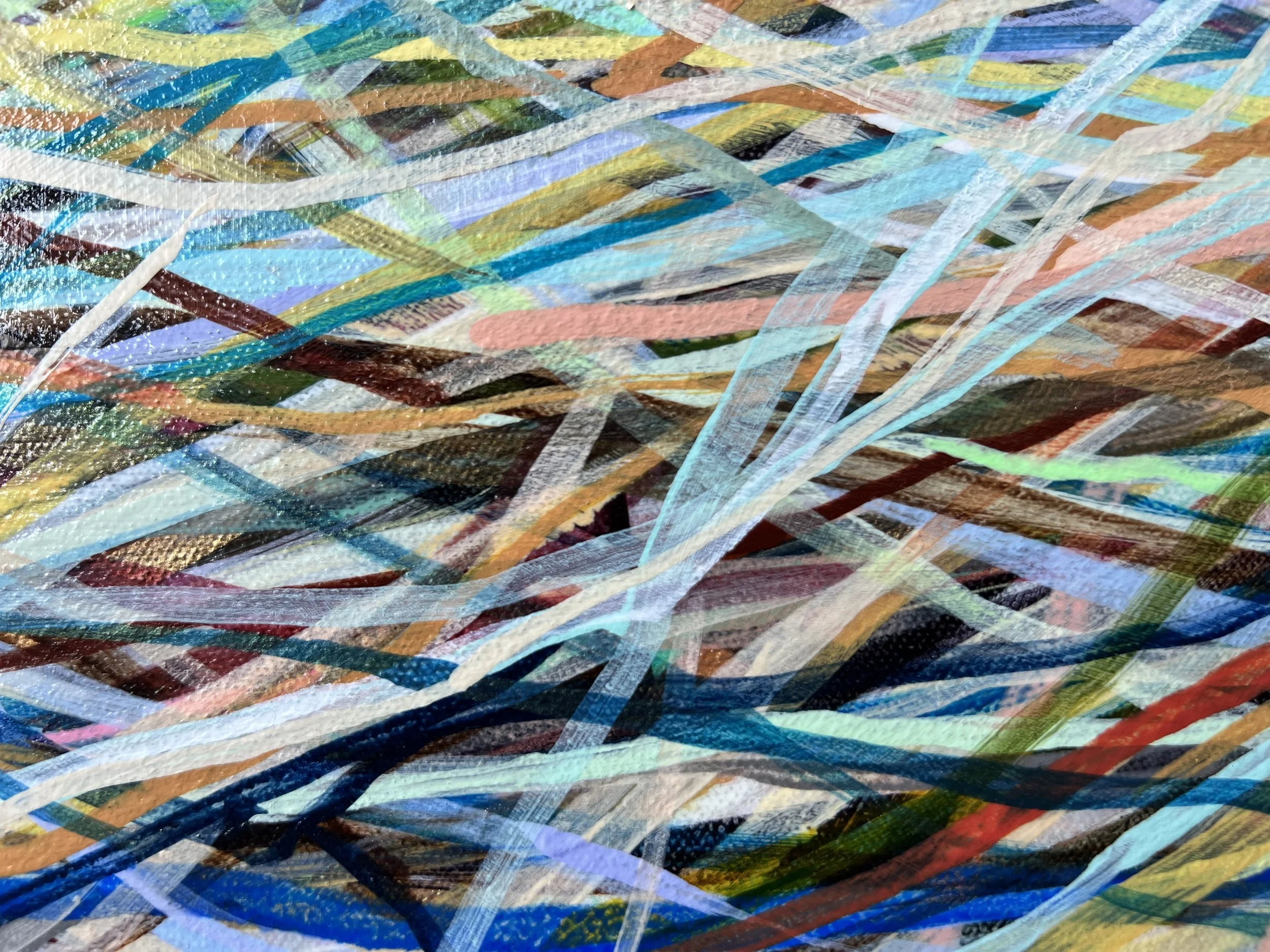 Zoomerang_close up 39_ARTIST LIZ ALDERMAN.jpeg