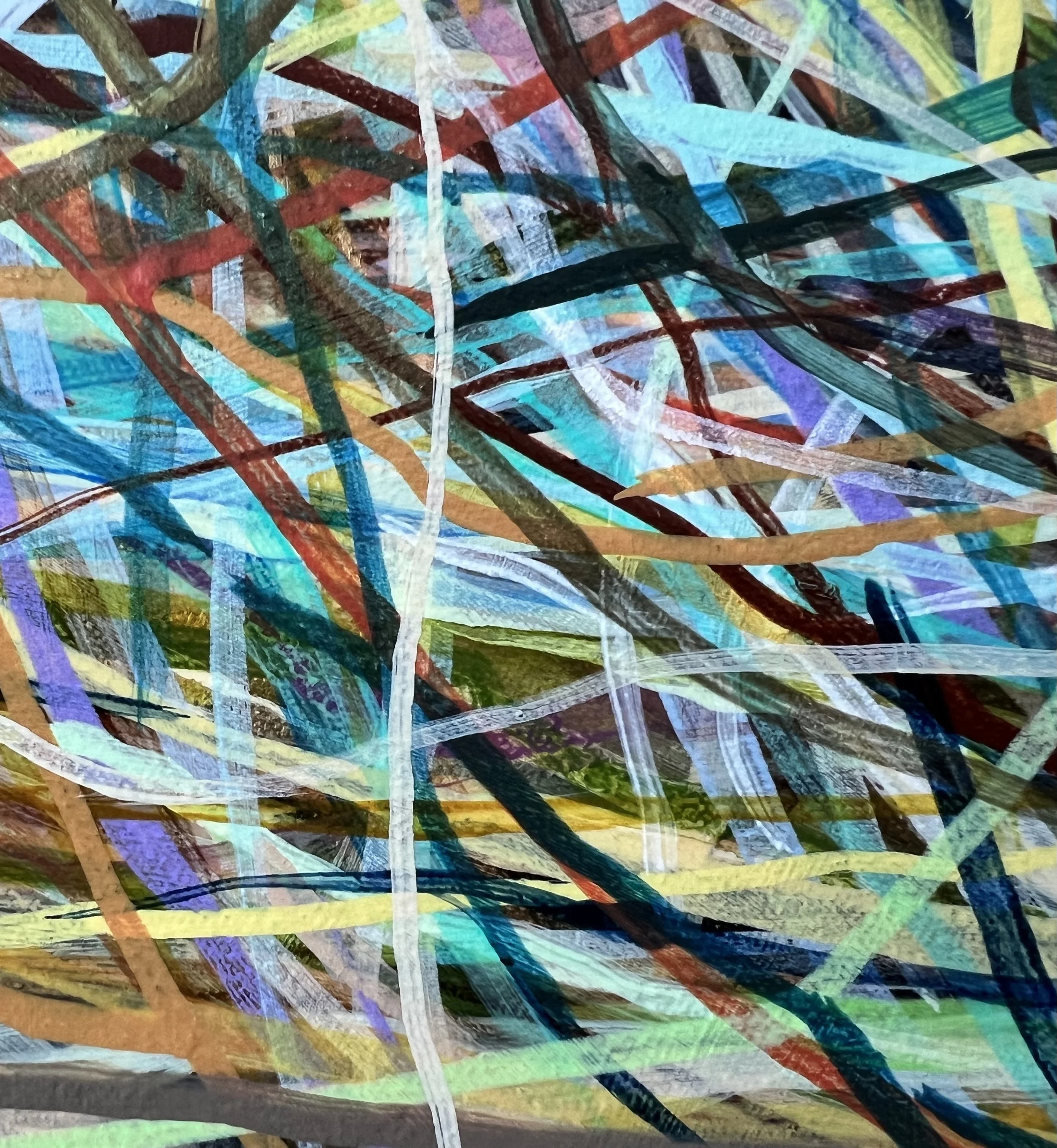 Zoomerang_close up 28_ARTIST LIZ ALDERMAN.jpeg