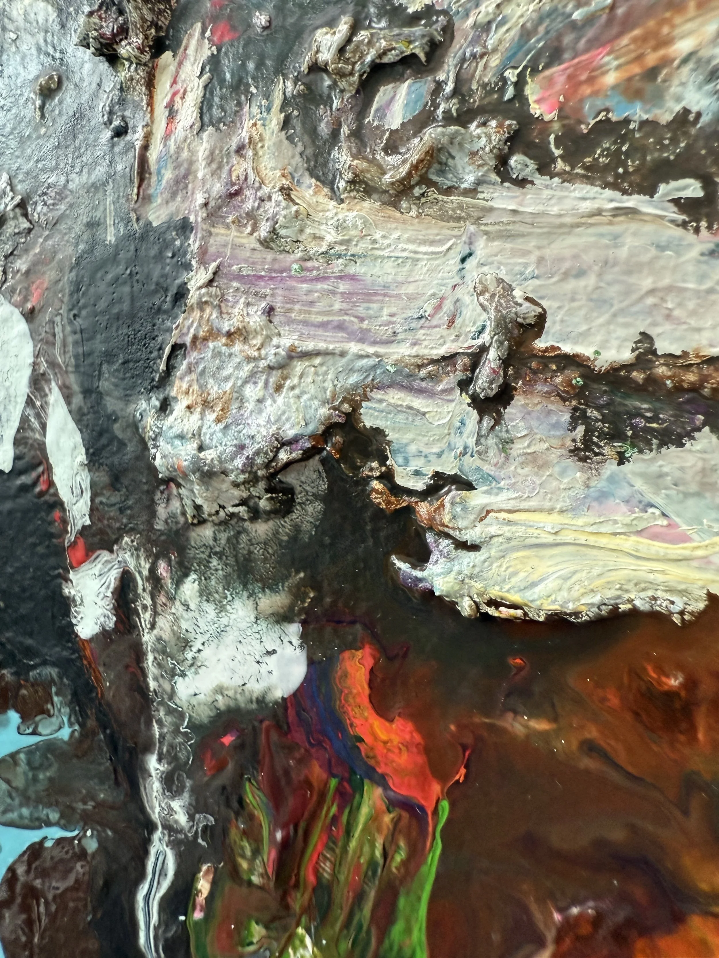 Josh_close up 28_ARTIST LIZ ALDERMAN_BIRD PAINTING.jpeg