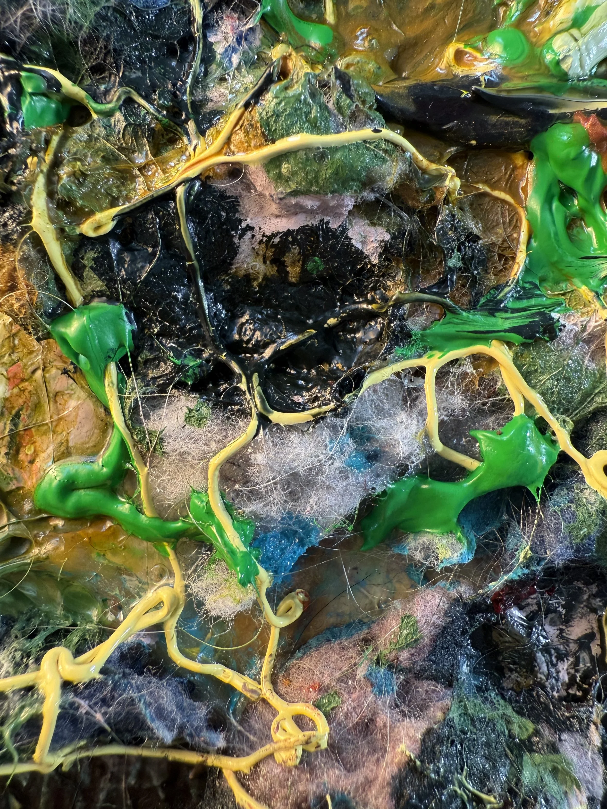 Fred_zoom 20_ARTIST LIZ ALDERMAN.jpeg