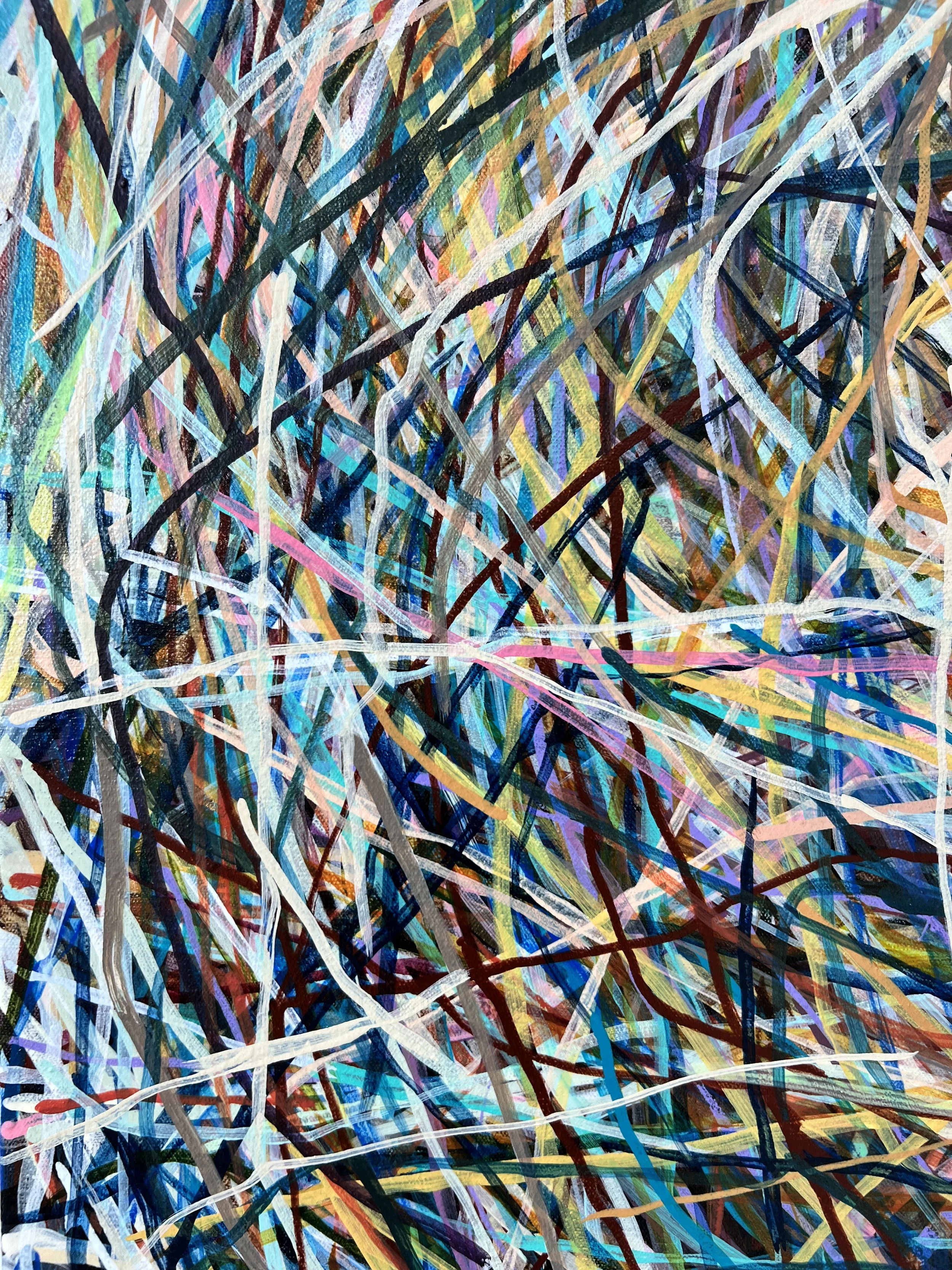 Zoomerang_detail 29_ARTIST LIZ ALDERMAN.jpeg