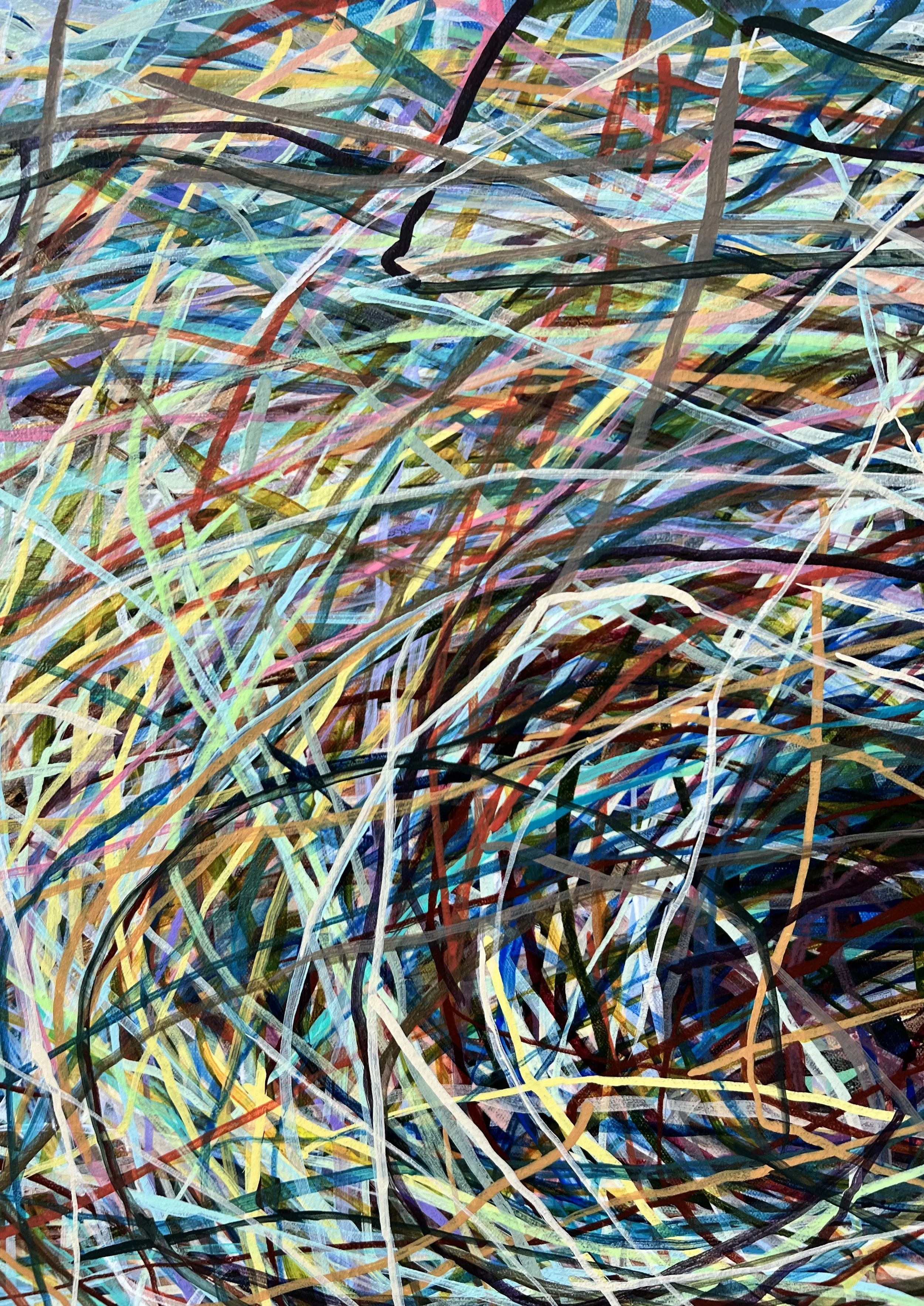 Zoomerang_detail 18_ARTIST LIZ ALDERMAN.jpeg