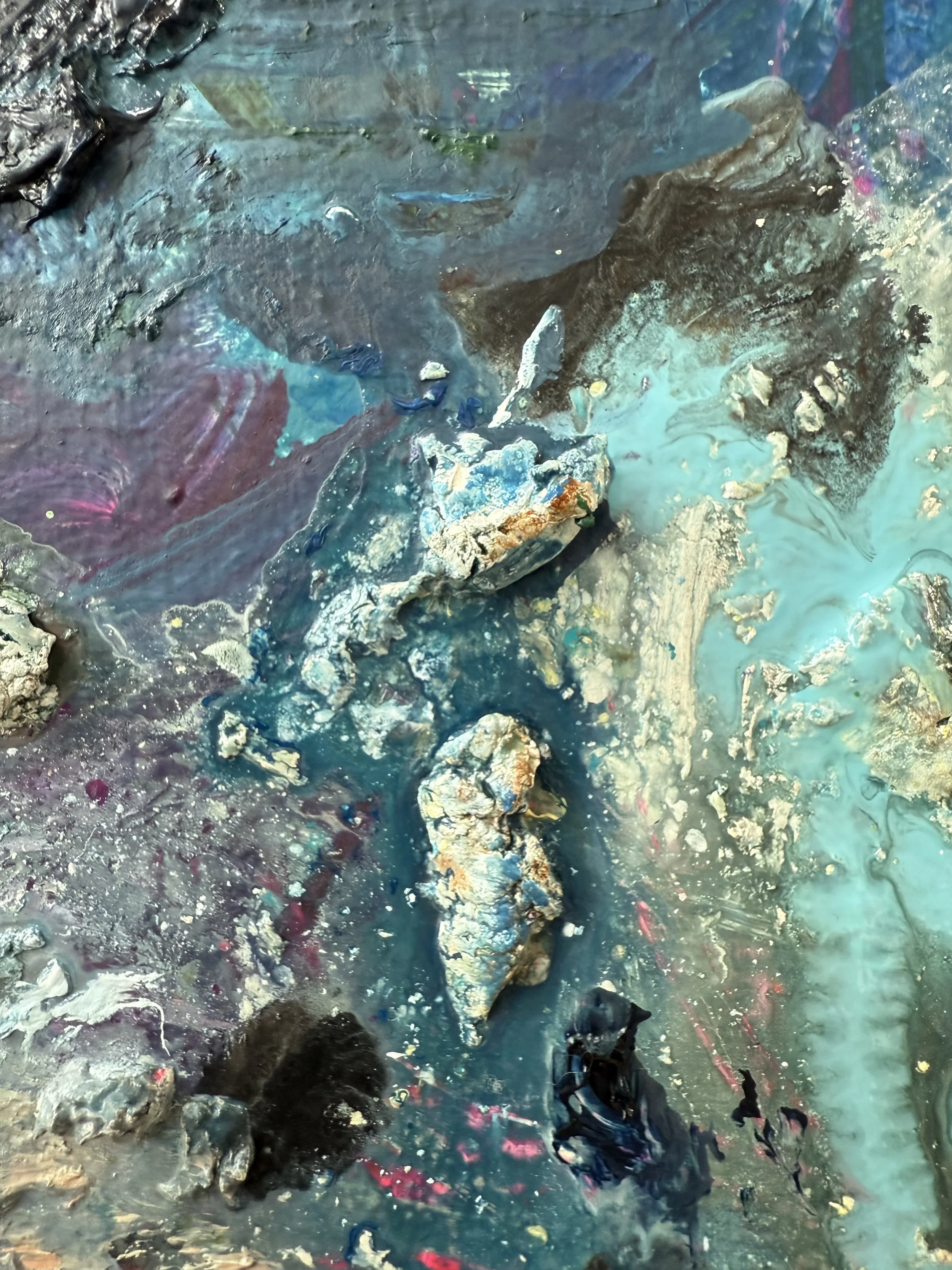 Josh_close up 8_ARTIST LIZ ALDERMAN_BIRD PAINTING.jpeg