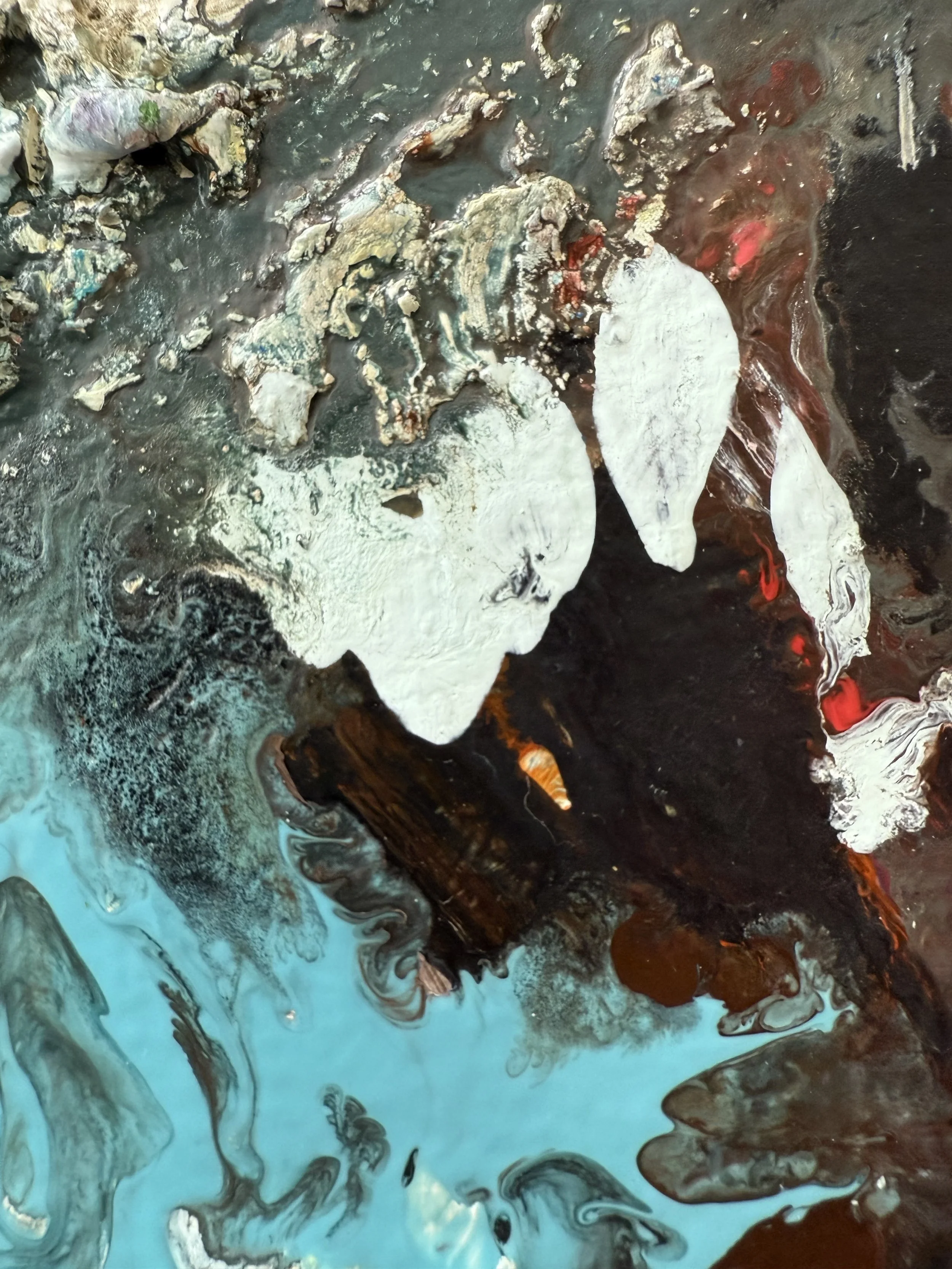 Josh_close up 26_ARTIST LIZ ALDERMAN_BIRD PAINTING.jpeg