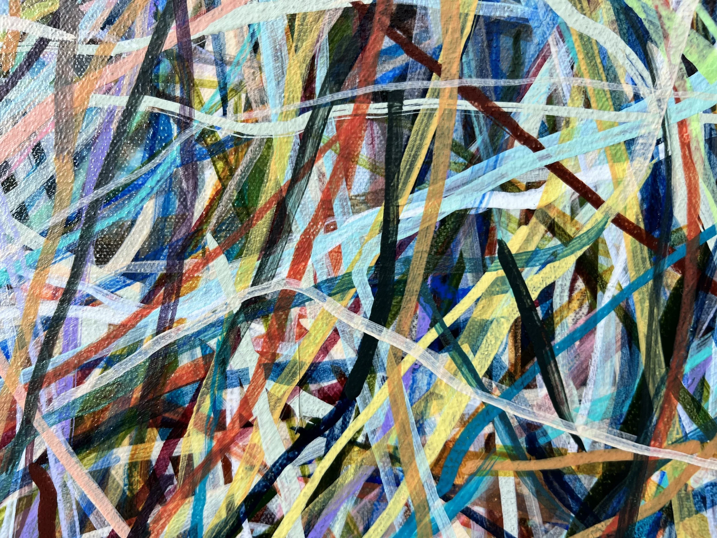 Zoomerang_close up 38_ARTIST LIZ ALDERMAN.jpeg