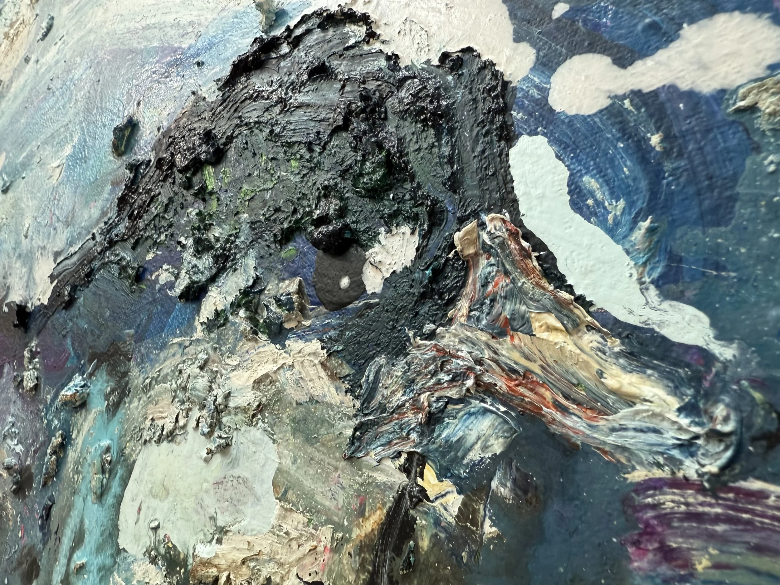 Josh_raking view 6_ARTIST LIZ ALDERMAN_BIRD PAINTING.jpeg