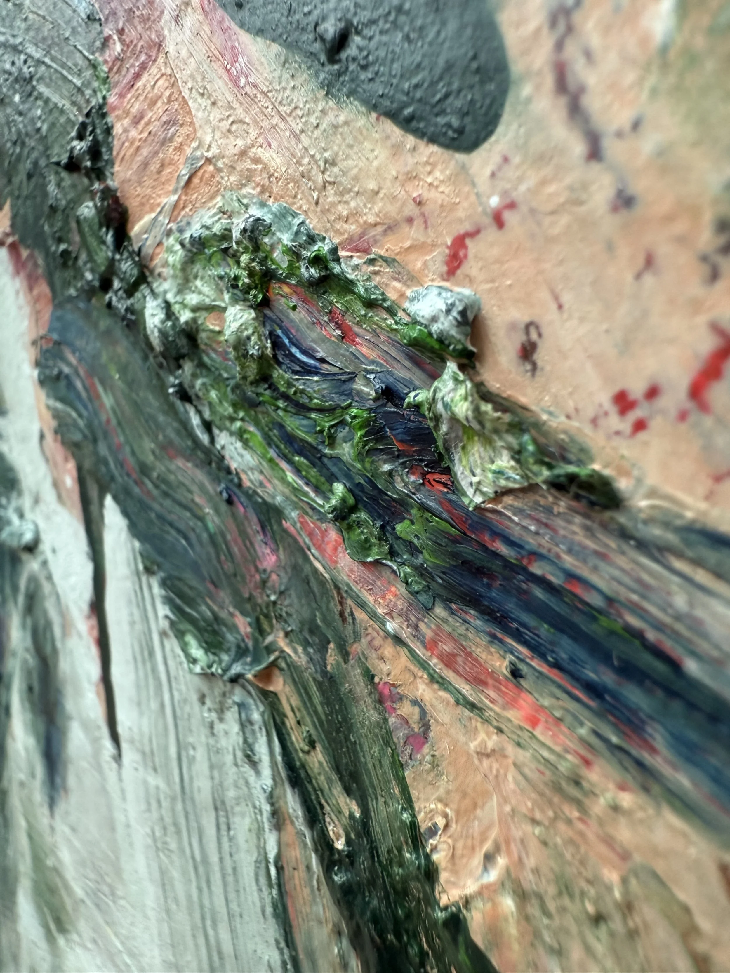 Josh_raking view 4_ARTIST LIZ ALDERMAN_BIRD PAINTING.jpeg