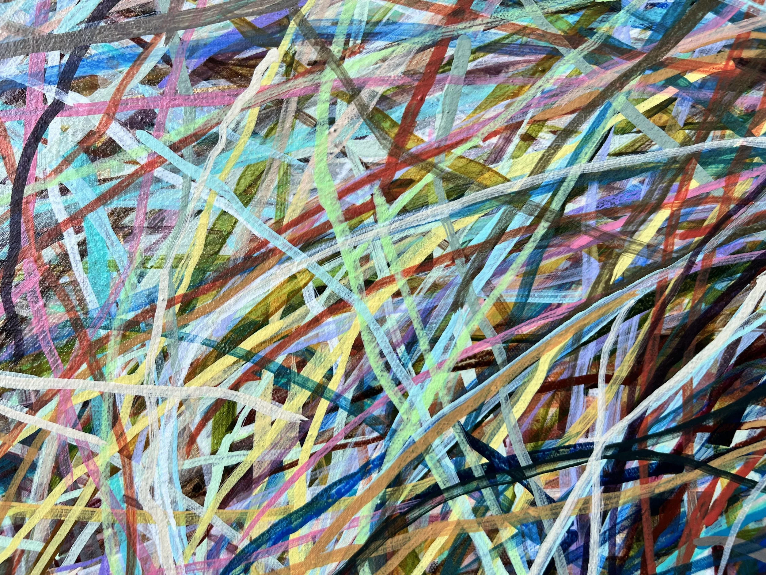 Zoomerang_close up 9_ARTIST LIZ ALDERMAN.jpeg