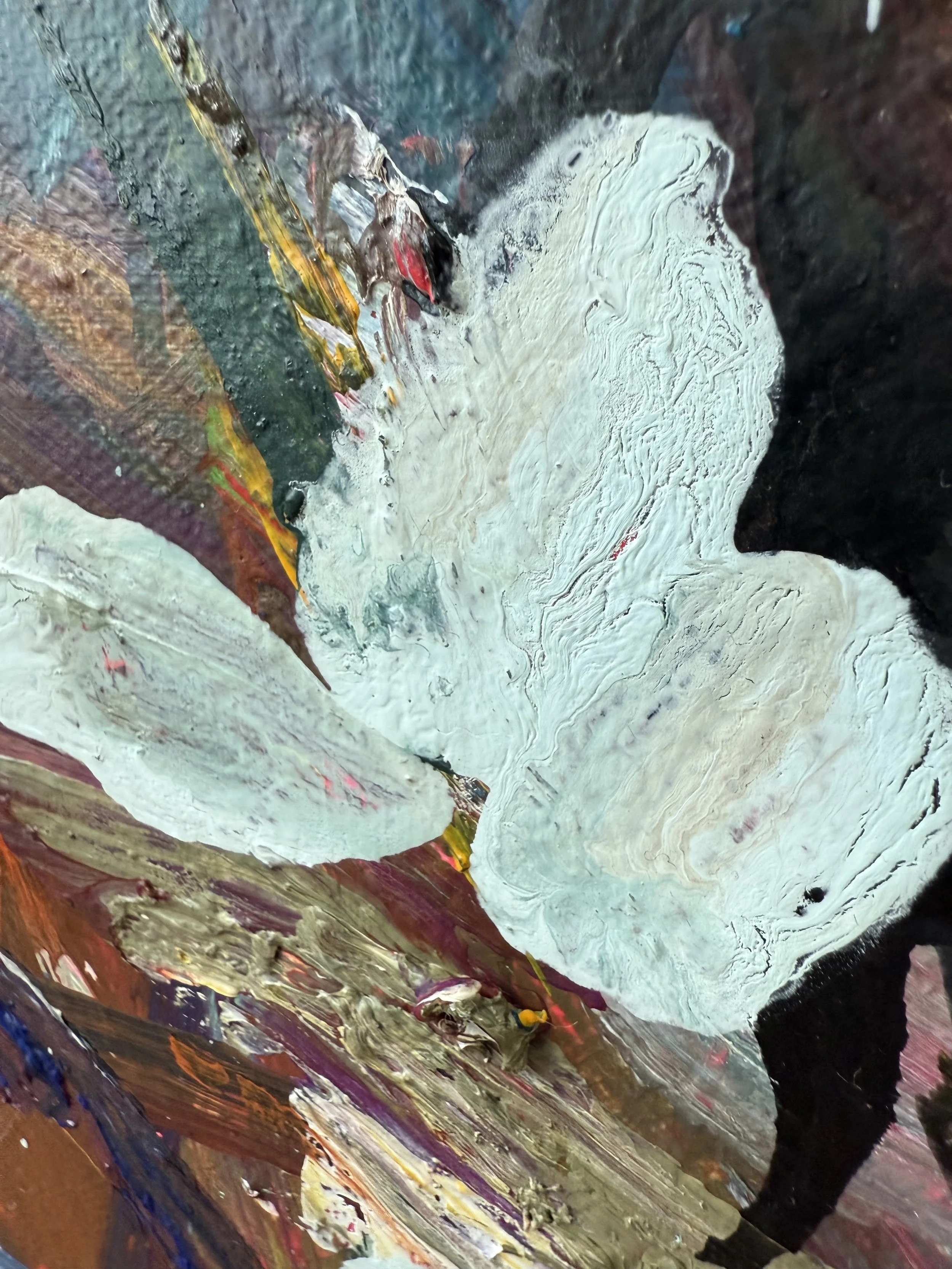 Josh_zoom 5_ARTIST LIZ ALDERMAN_BIRD PAINTING.jpeg