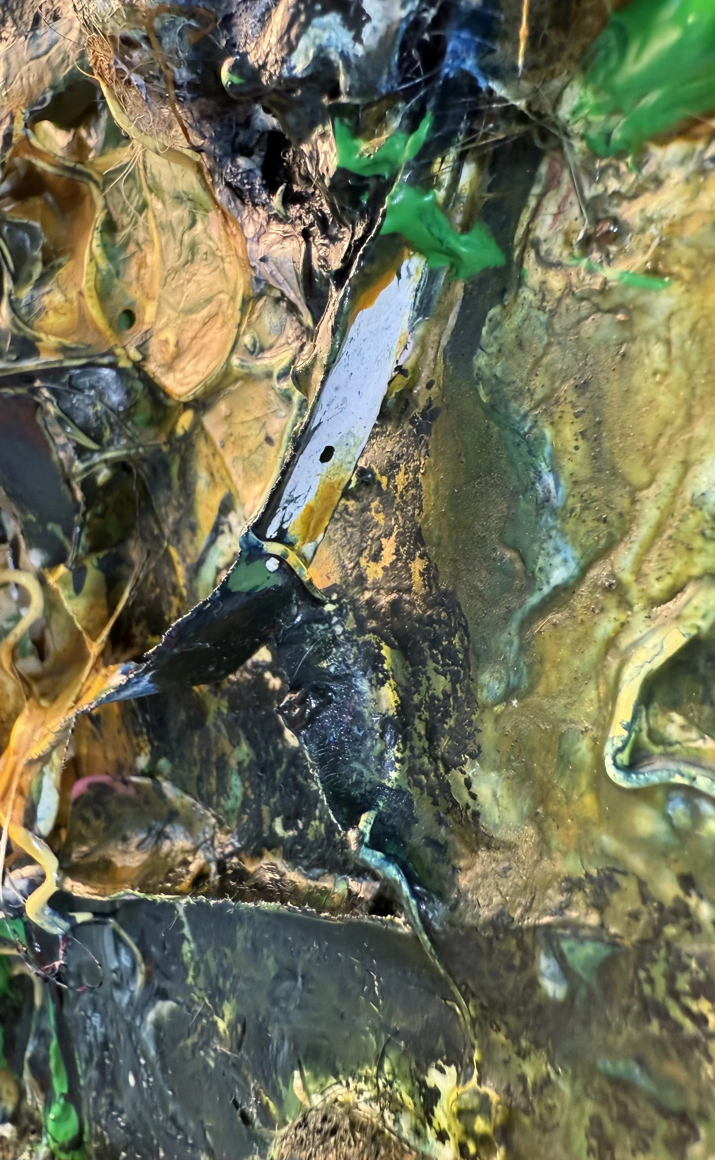 Fred_raking view 6_ARTIST LIZ ALDERMAN.jpeg