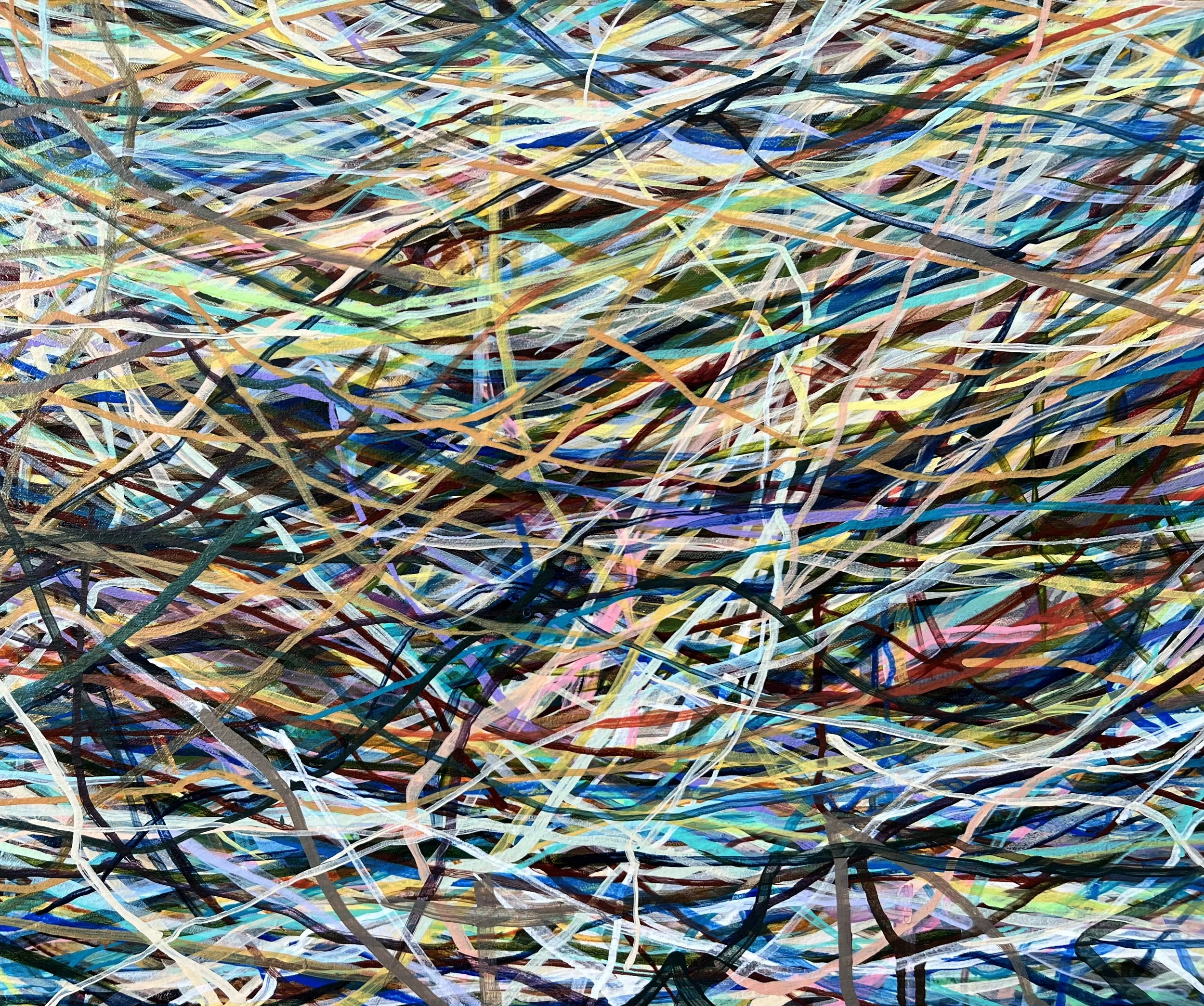 Zoomerang_detail 14_ARTIST LIZ ALDERMAN.jpeg