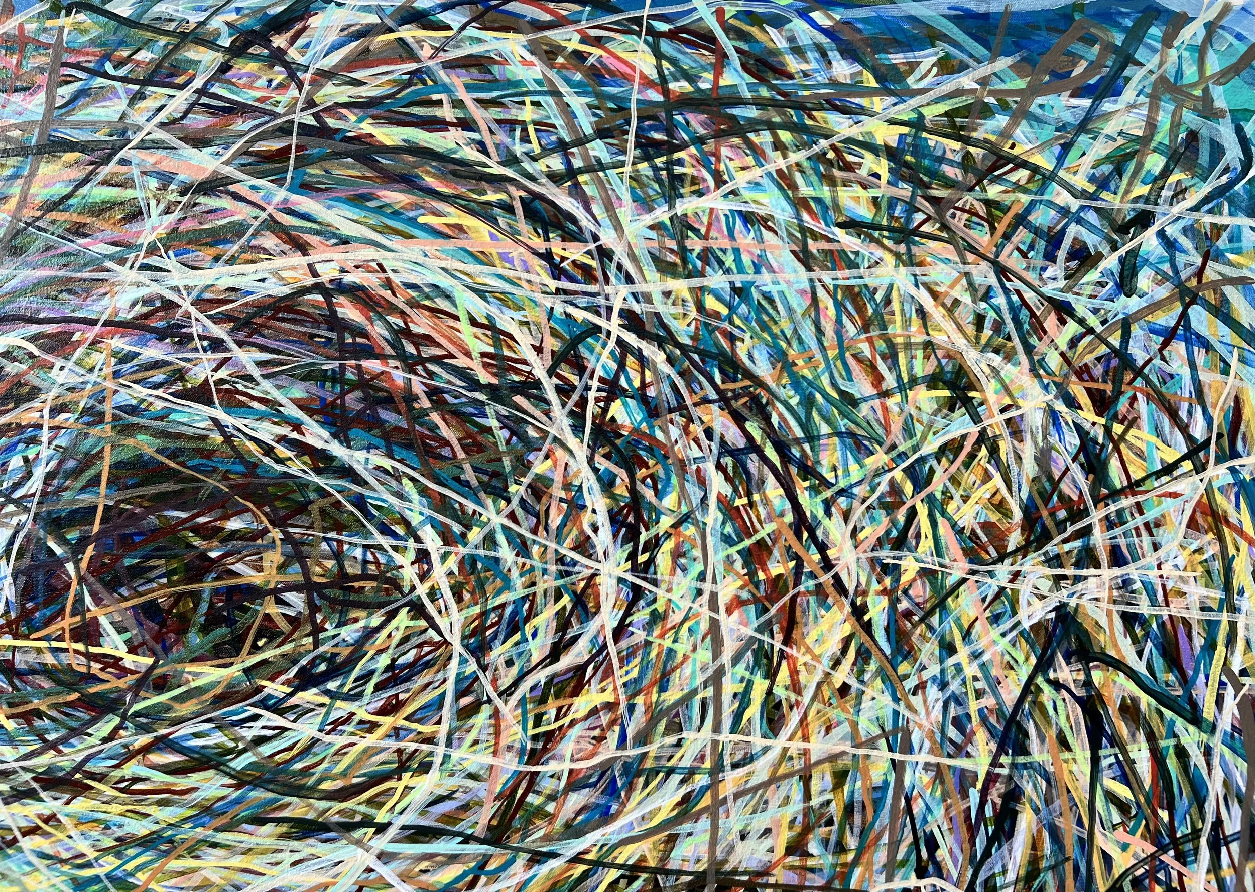 Zoomerang_detail 6_ARTIST LIZ ALDERMAN.jpeg