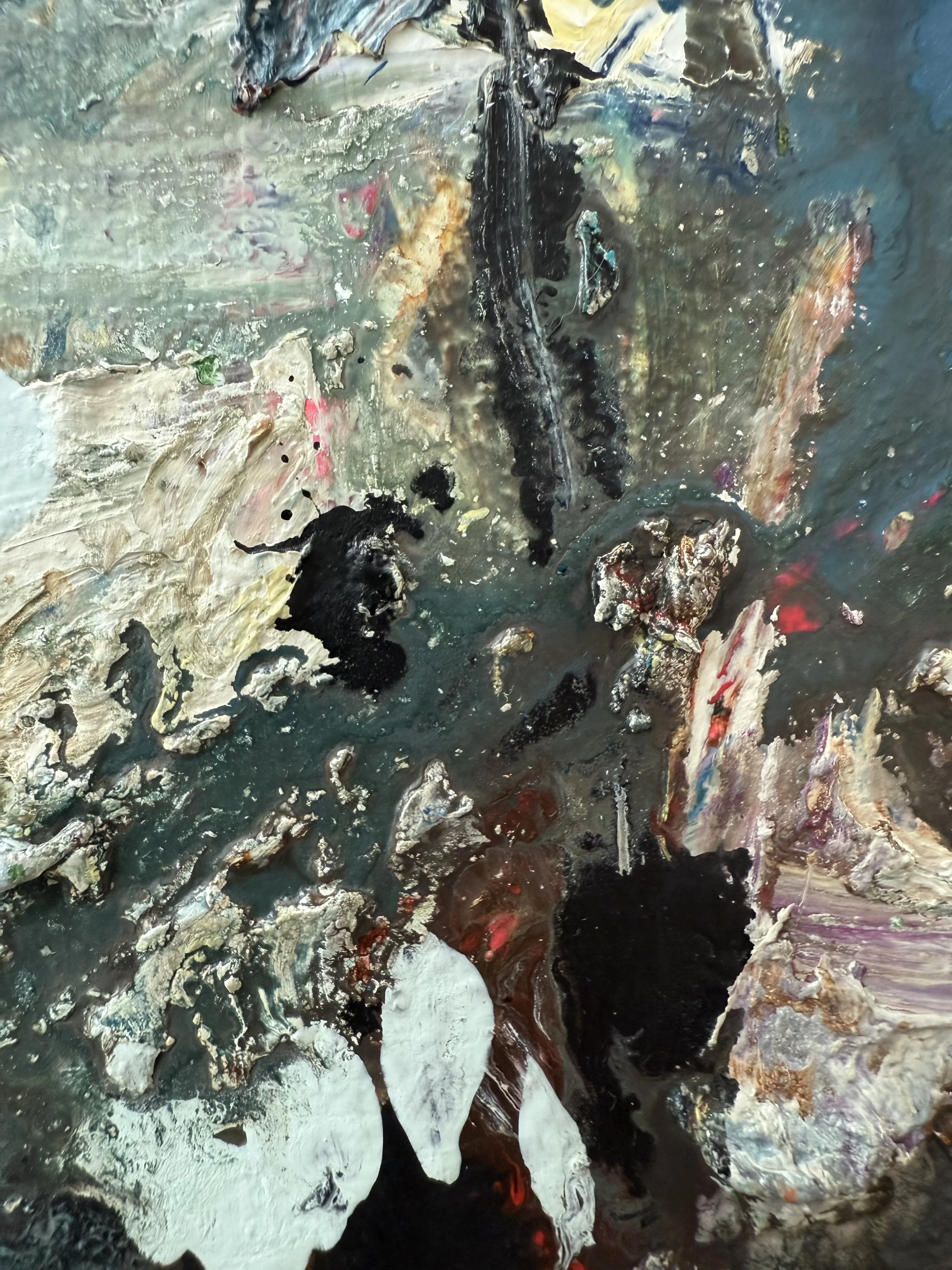 Josh_close up 6_ARTIST LIZ ALDERMAN_BIRD PAINTING.jpeg