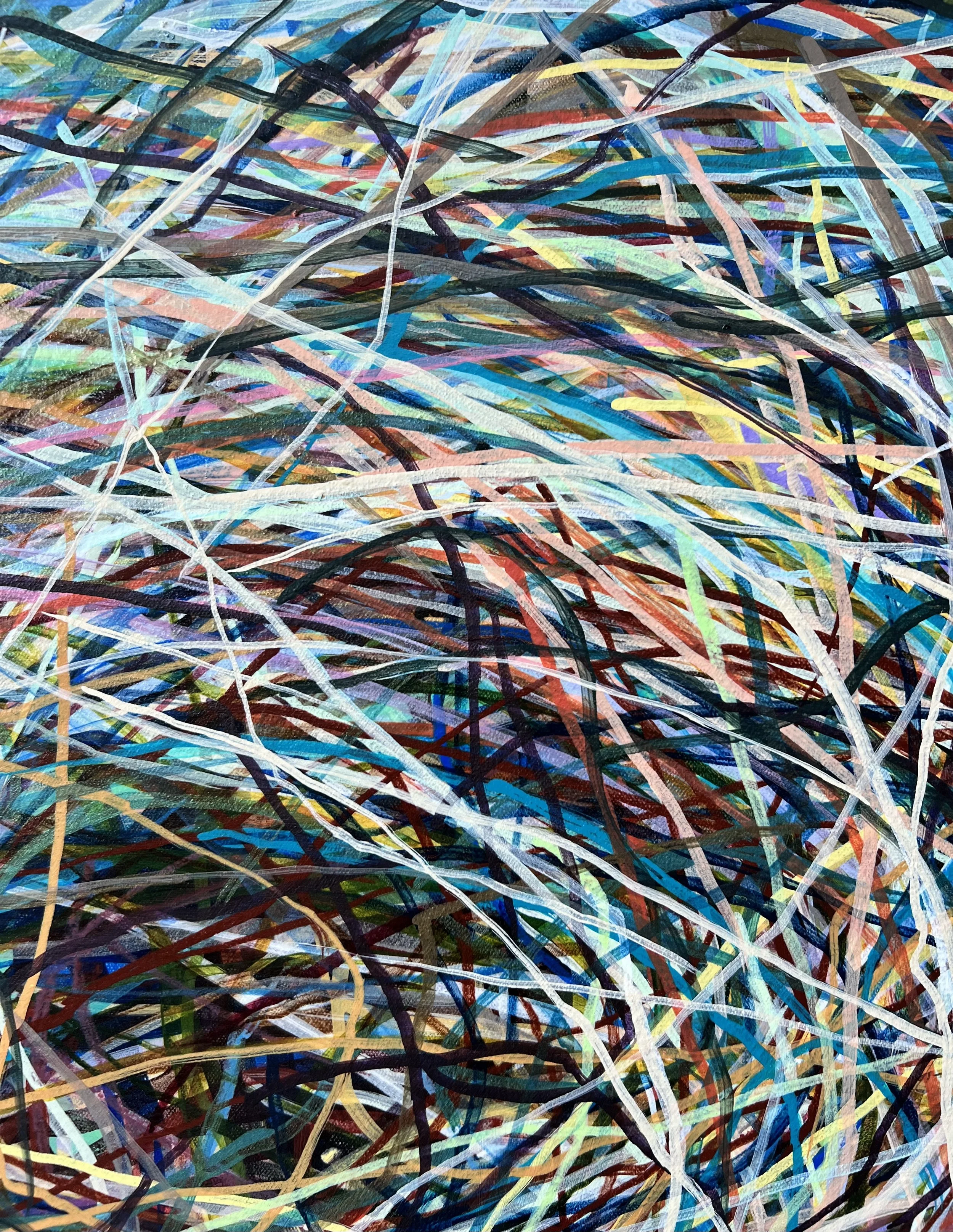 Zoomerang_detail 19_ARTIST LIZ ALDERMAN.jpeg