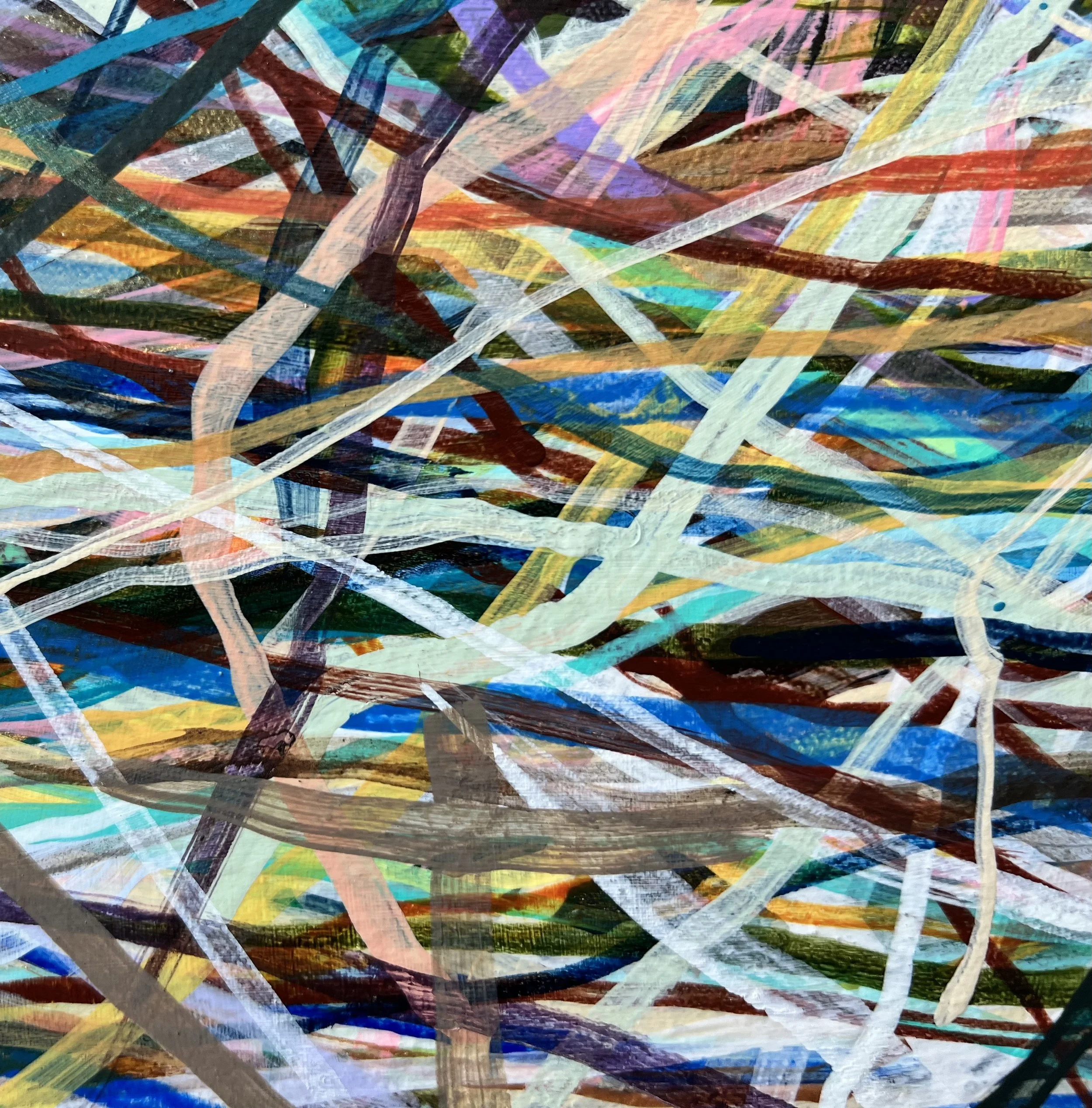 Zoomerang_ecu 8_ARTIST LIZ ALDERMAN.jpeg