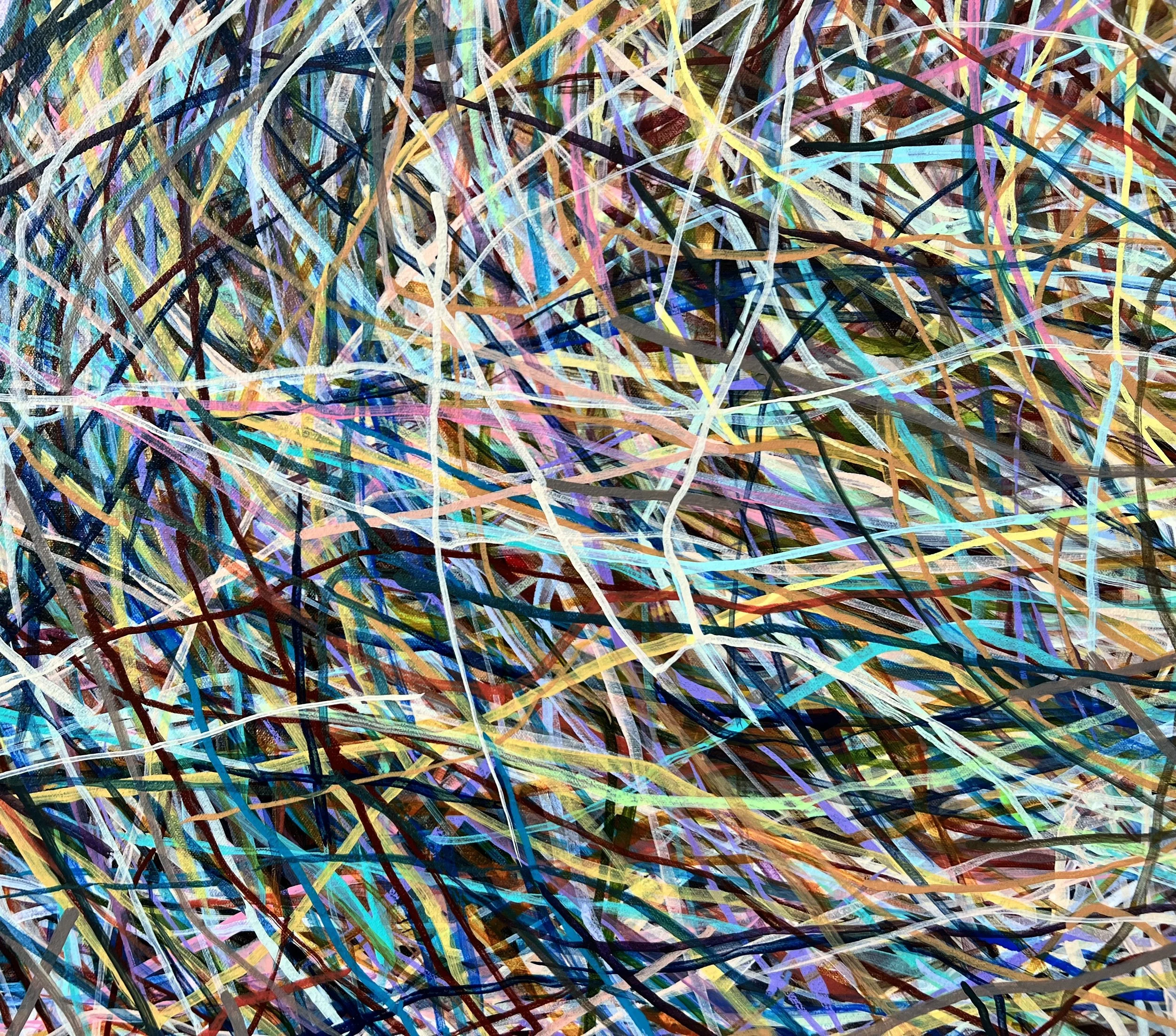 Zoomerang_detail 10_ARTIST LIZ ALDERMAN.jpeg