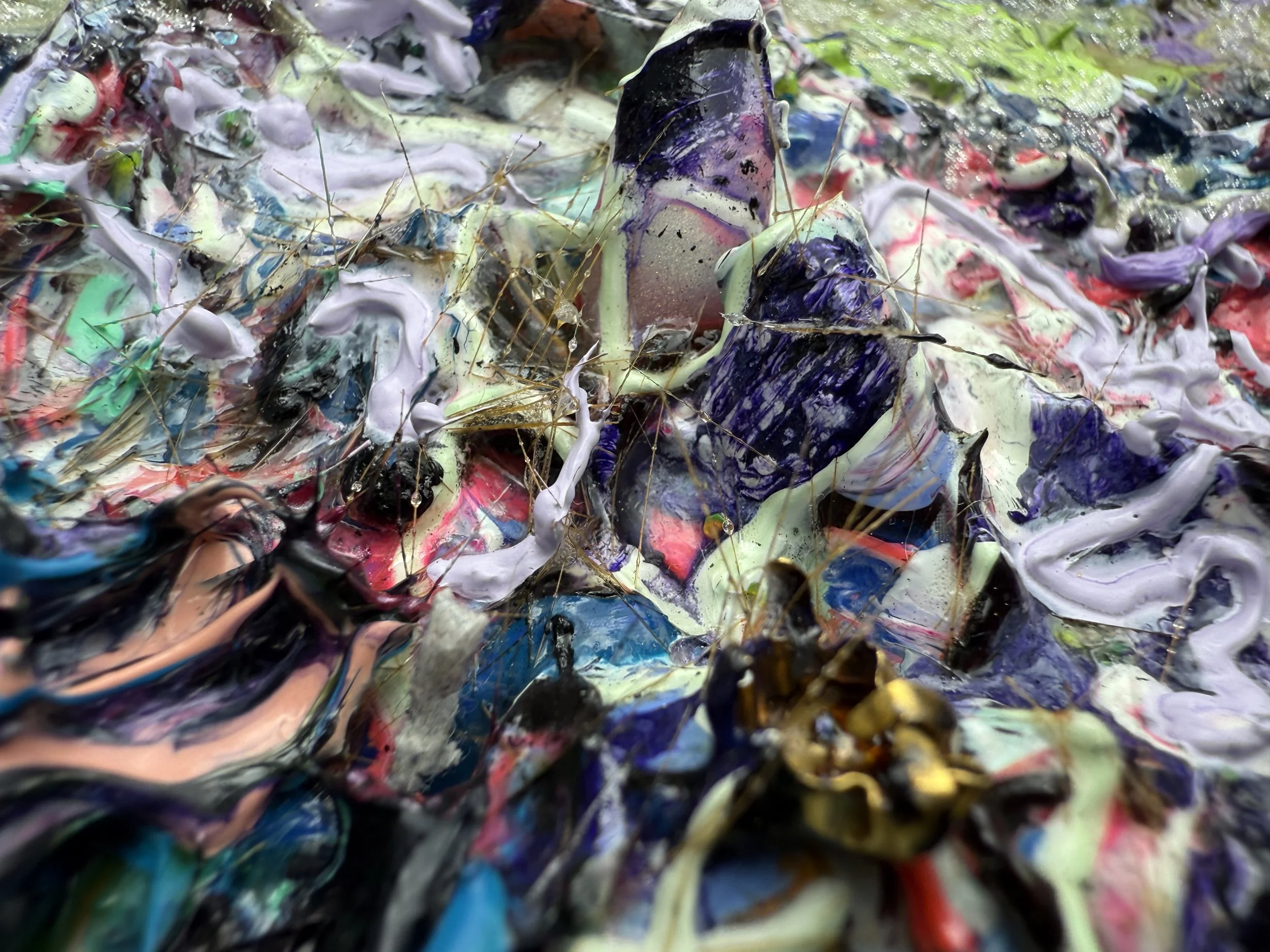 Mr Harriet_raking view 16_ARTIST LIZ ALDERMAN_ULTRAMÖNZEITGENÖSSISCHE KUNST.jpeg