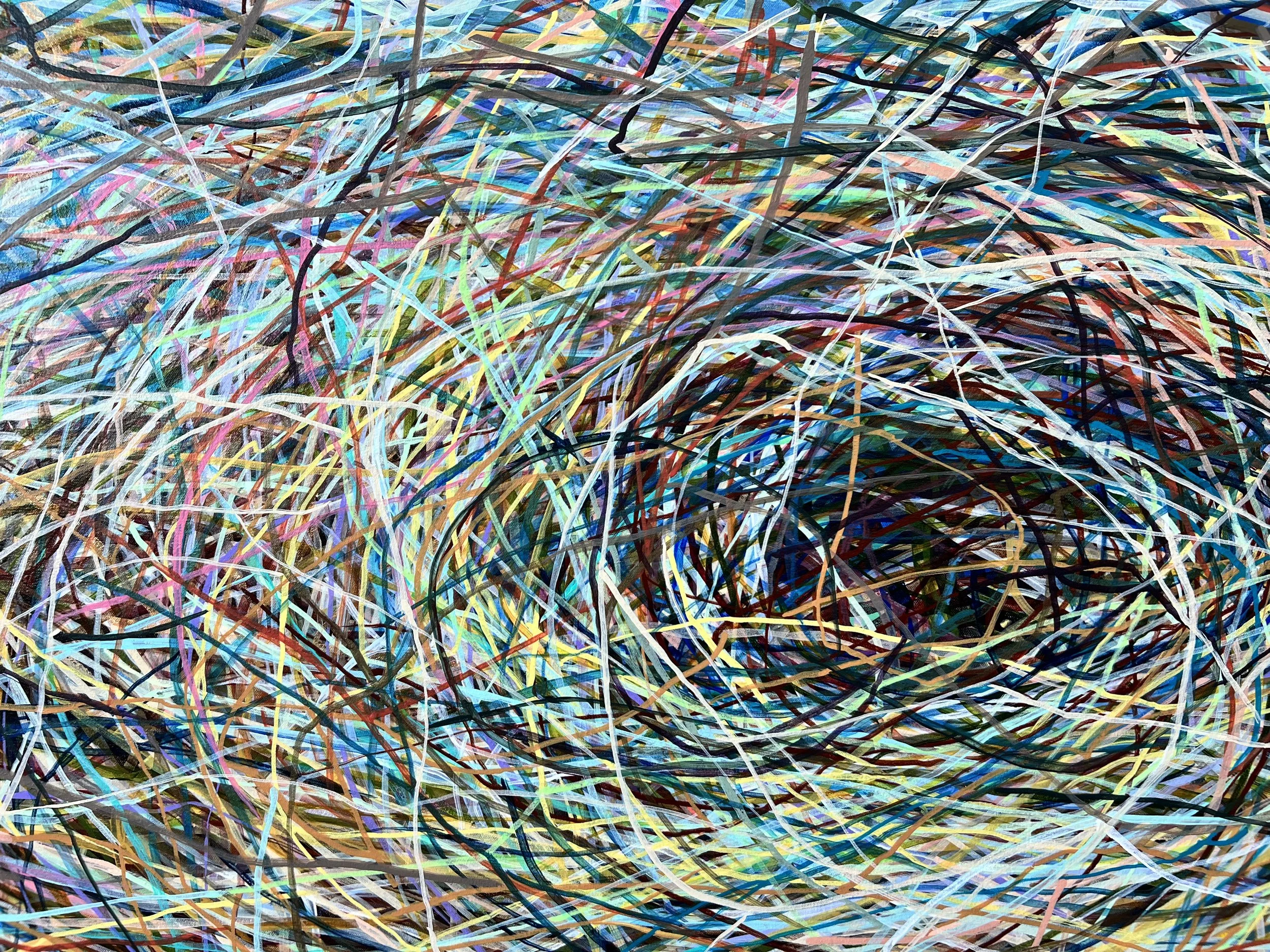 Zoomerang_detail 5_ARTIST LIZ ALDERMAN.jpeg