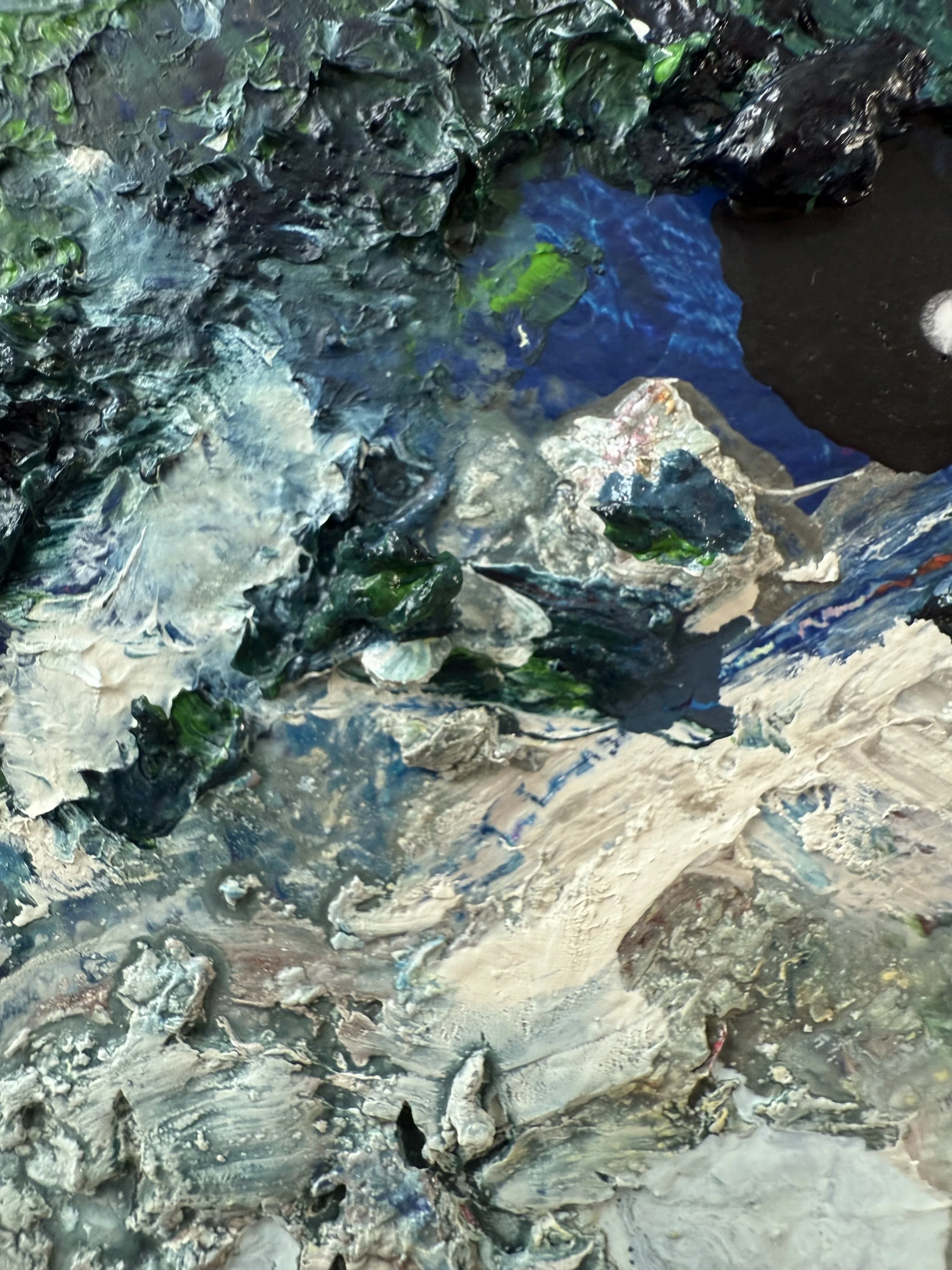 Josh_close up 5_ARTIST LIZ ALDERMAN_BIRD PAINTING.jpeg