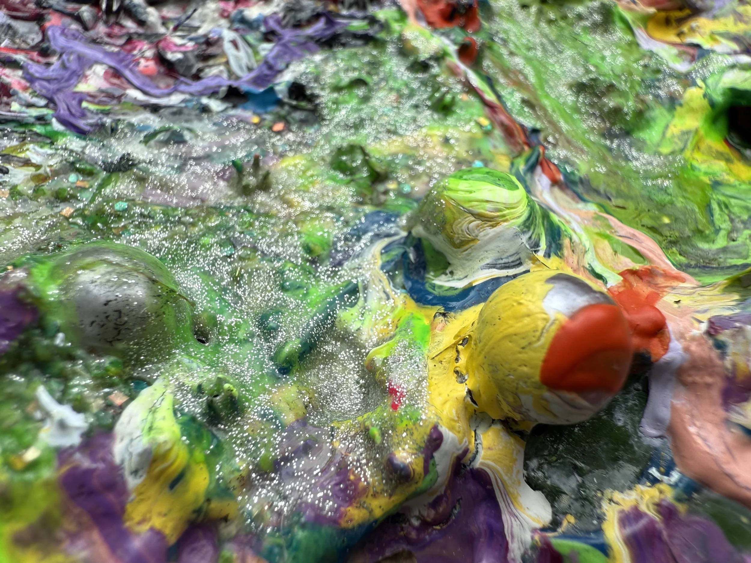 Mr Harriet_raking view 13_ARTIST LIZ ALDERMAN_ULTRAMÖNZEITGENÖSSISCHE KUNST.jpeg