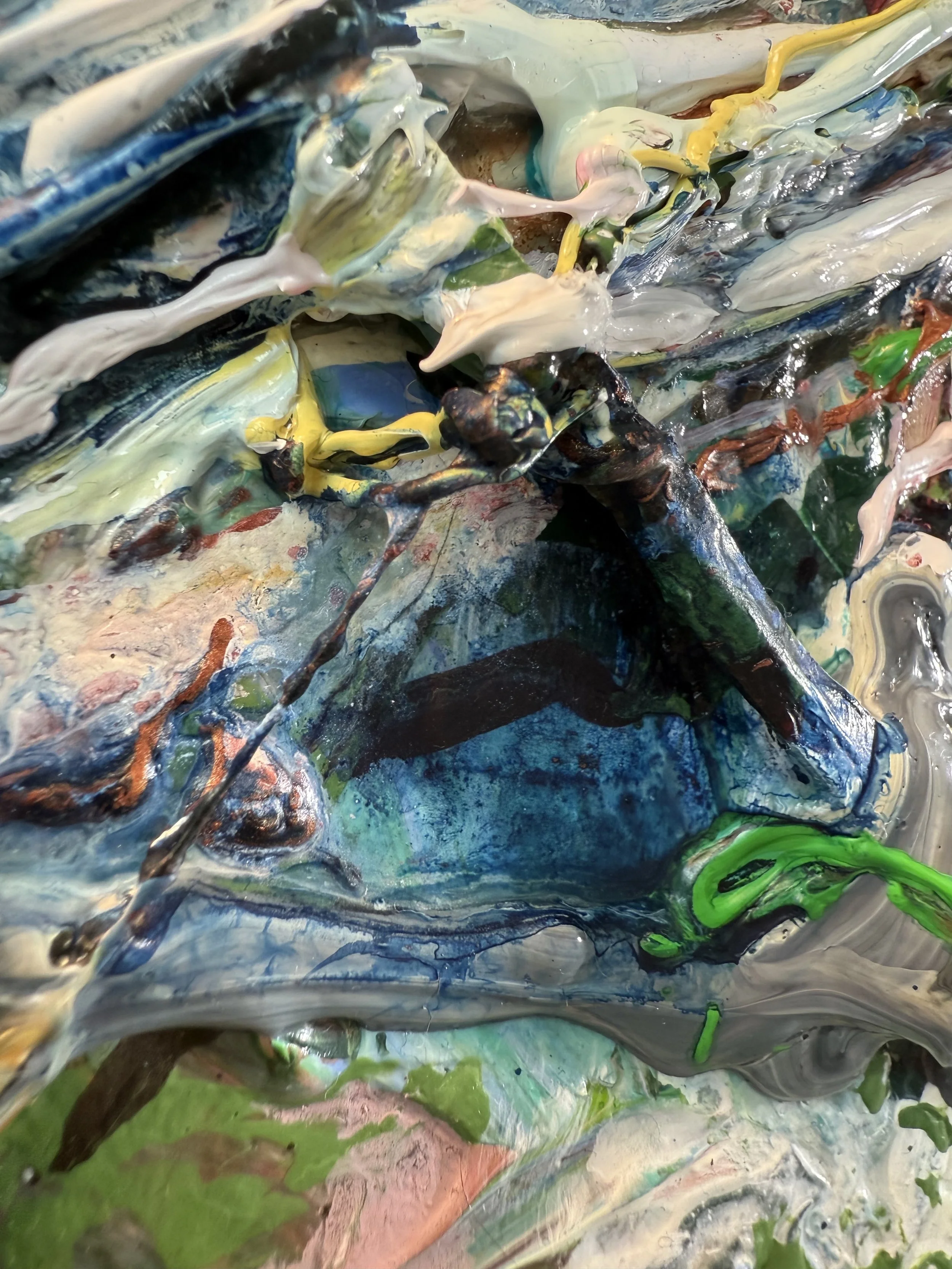 Fred_raking view 24_ARTIST LIZ ALDERMAN.jpeg