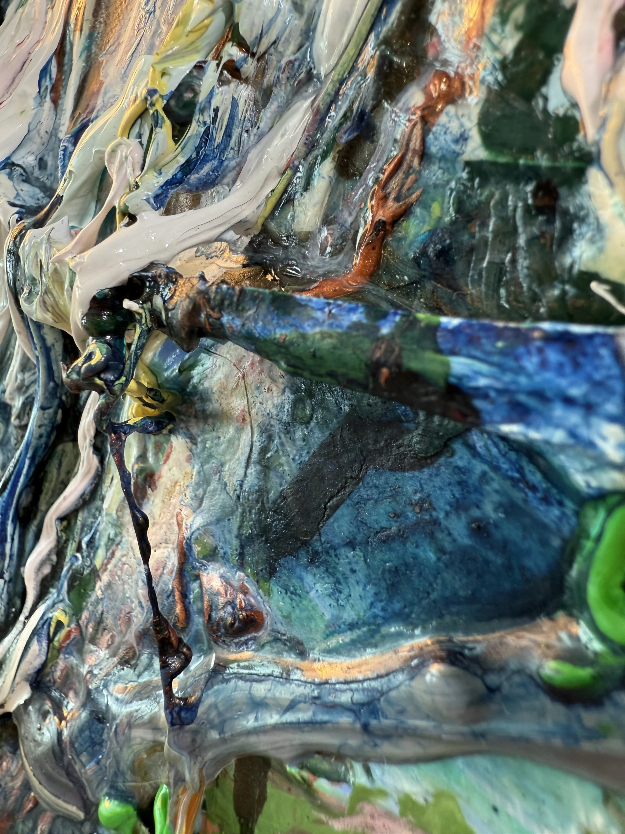 Fred_raking view 14_ARTIST LIZ ALDERMAN.jpeg