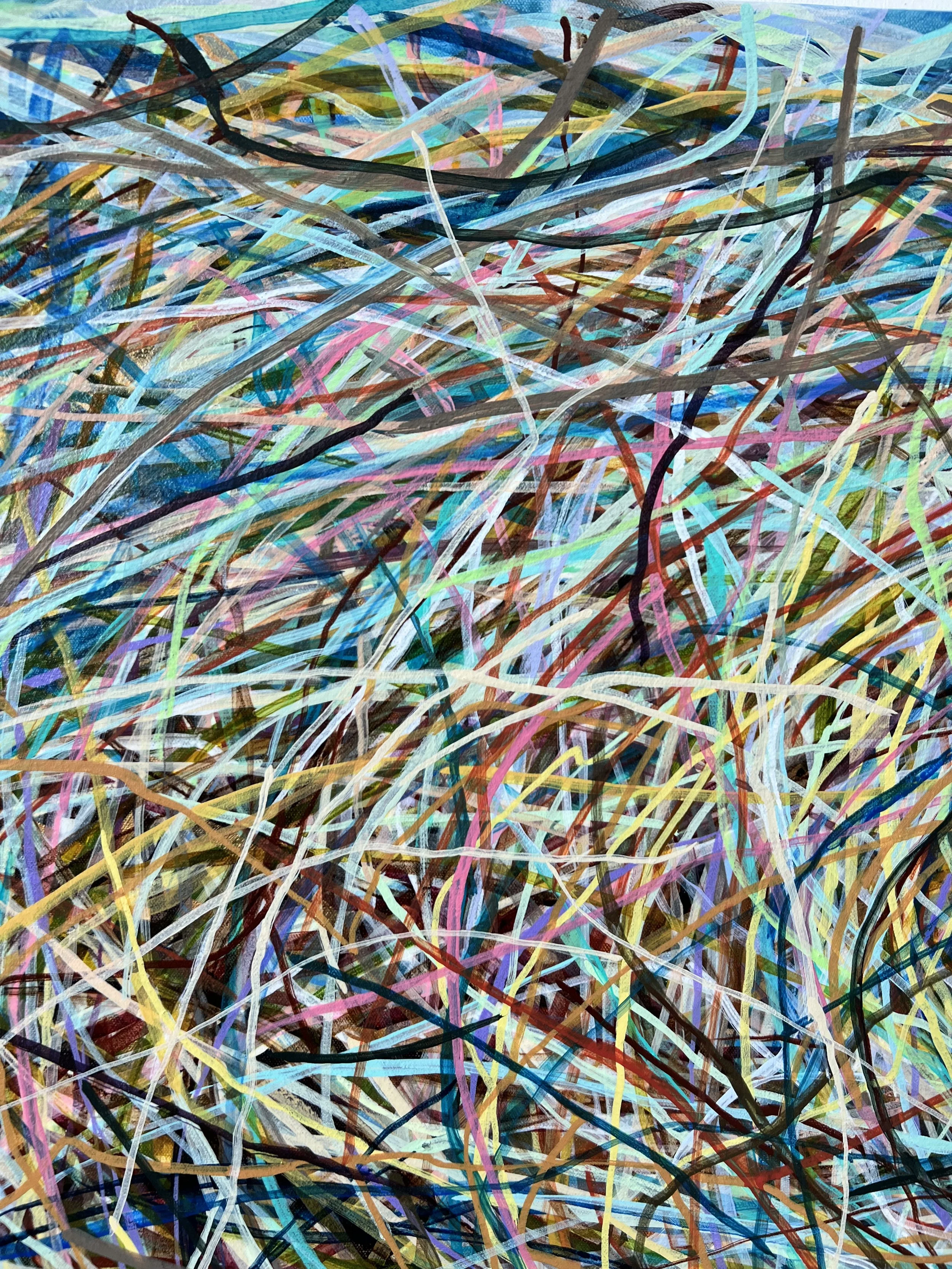 Zoomerang_detail 17_ARTIST LIZ ALDERMAN.jpeg