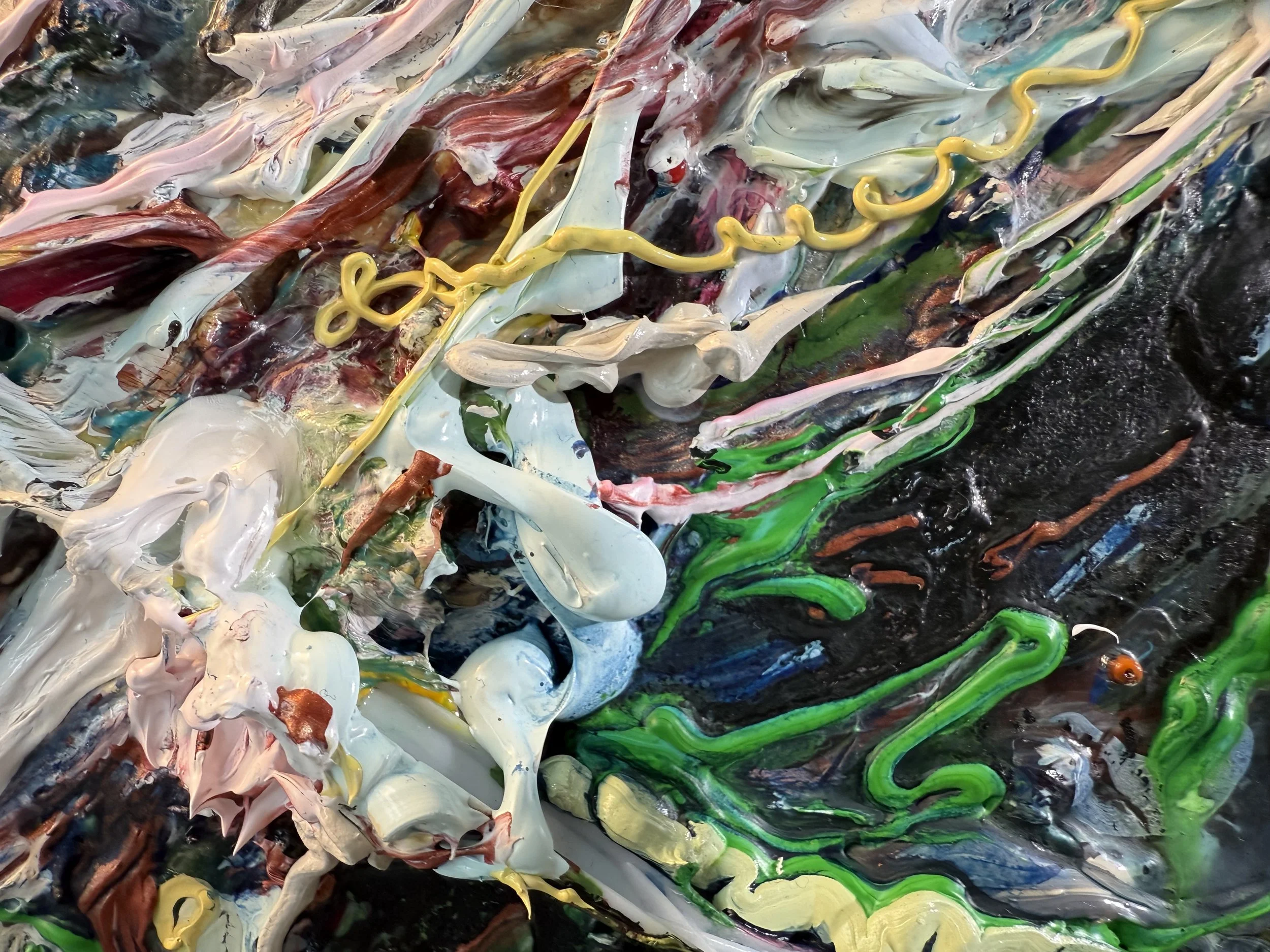 Fred_zoom 7_ARTIST LIZ ALDERMAN.jpeg