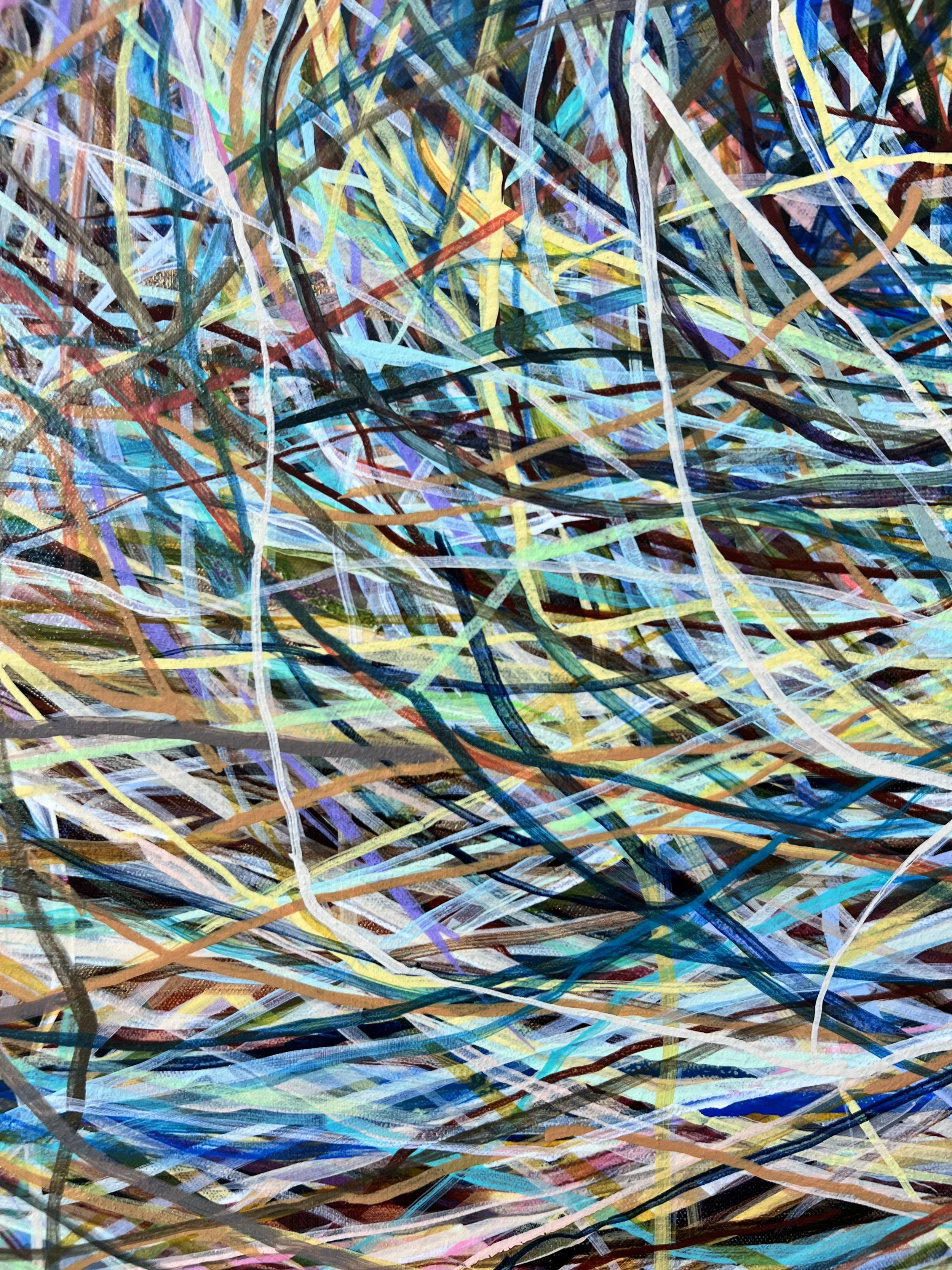 Zoomerang_detail 32_ARTIST LIZ ALDERMAN.jpeg