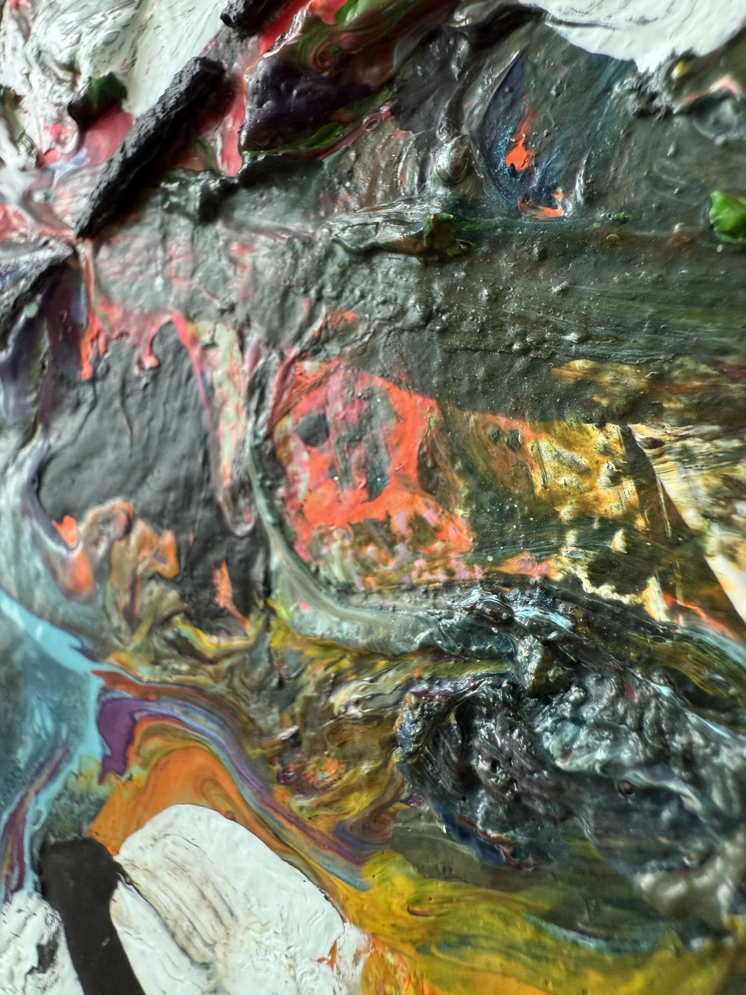 Josh_raking view 3_ARTIST LIZ ALDERMAN_BIRD PAINTING.jpeg