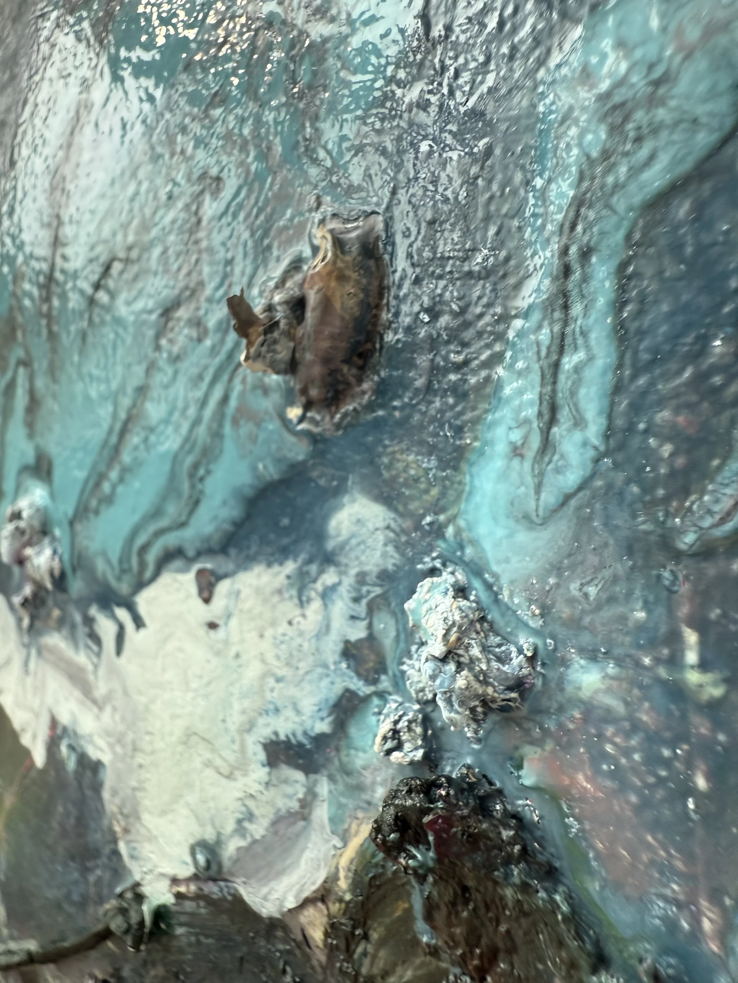 Josh_close up 31_ARTIST LIZ ALDERMAN_BIRD PAINTING.jpeg