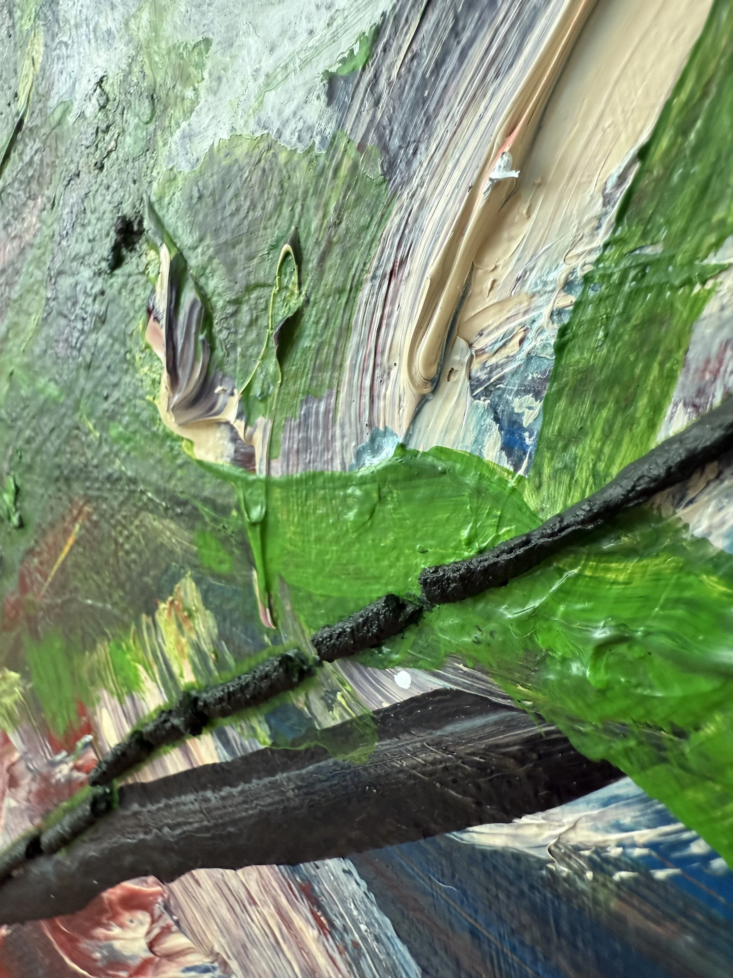 Josh_raking view 8_ARTIST LIZ ALDERMAN_BIRD PAINTING.jpeg