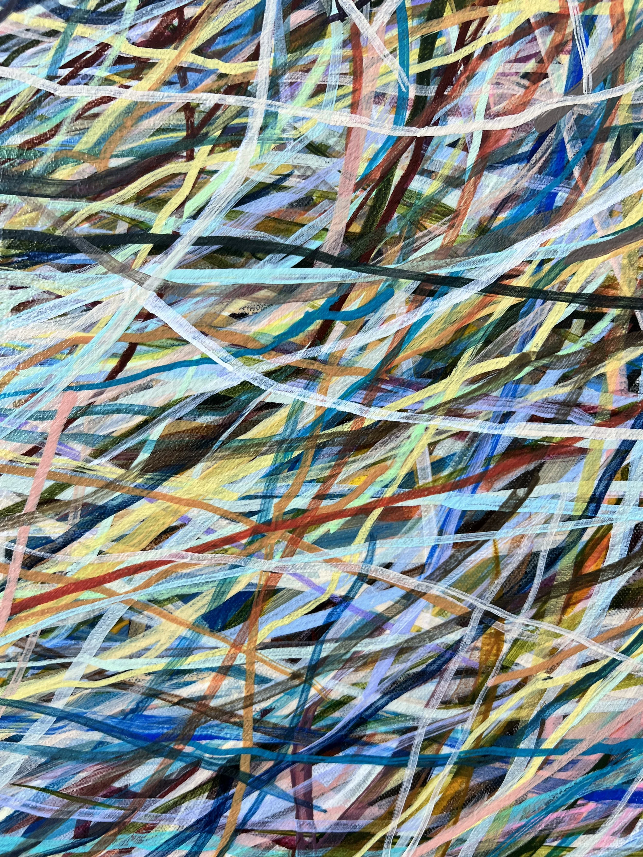 Zoomerang_detail 34_ARTIST LIZ ALDERMAN.jpeg