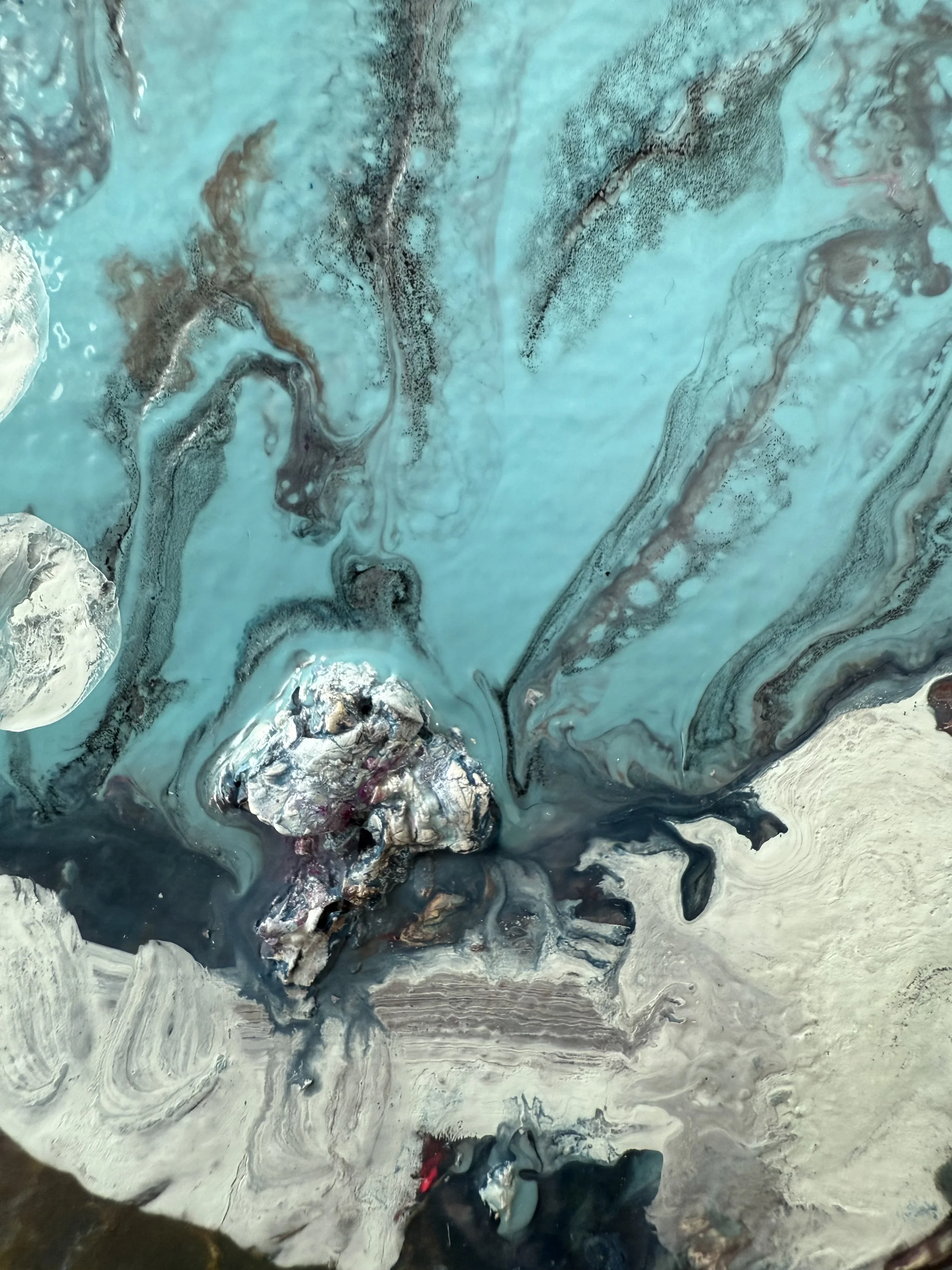 Josh_close up 22_ARTIST LIZ ALDERMAN_BIRD PAINTING.jpeg