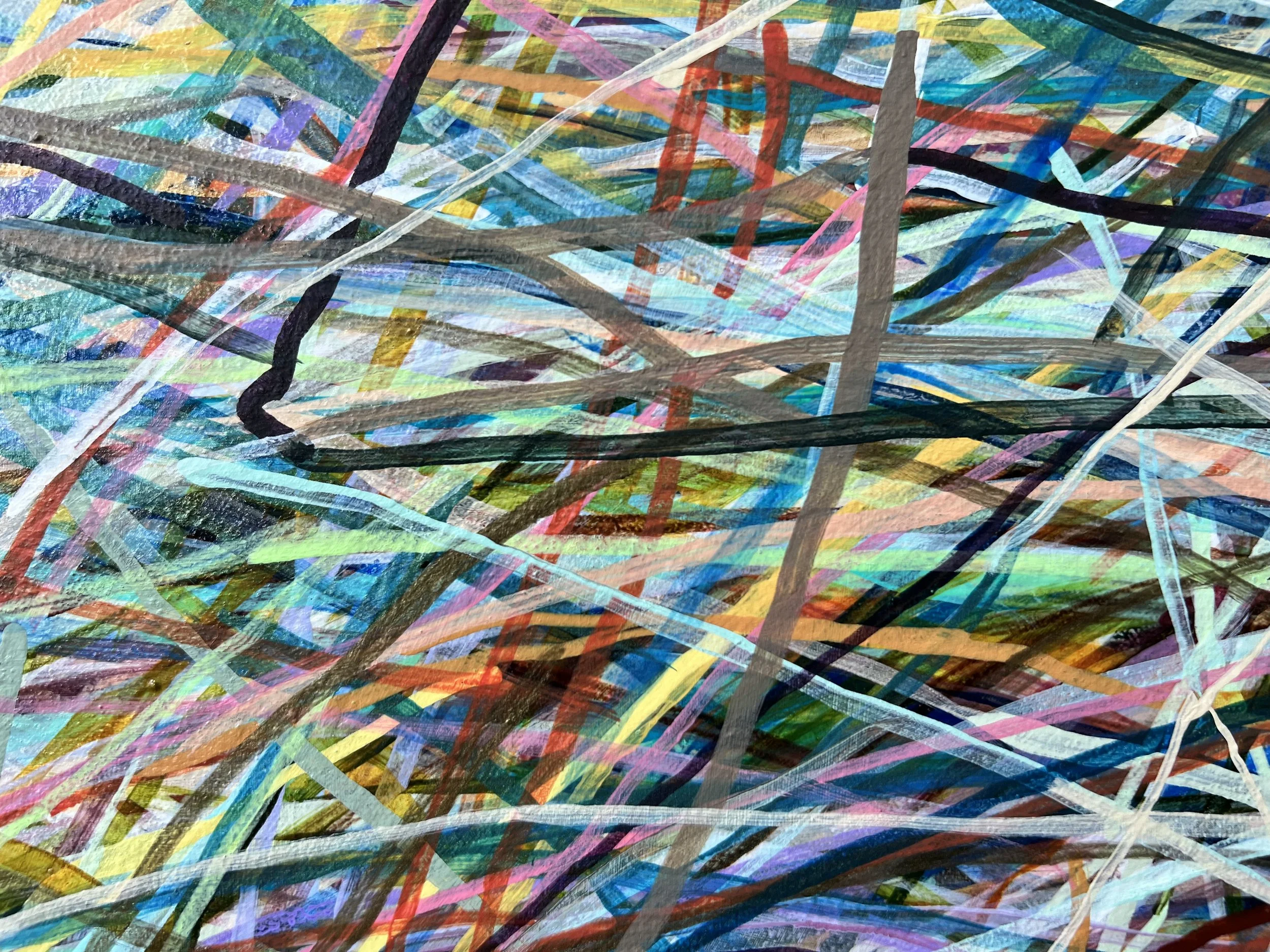 Zoomerang_close up 2_ARTIST LIZ ALDERMAN.jpeg