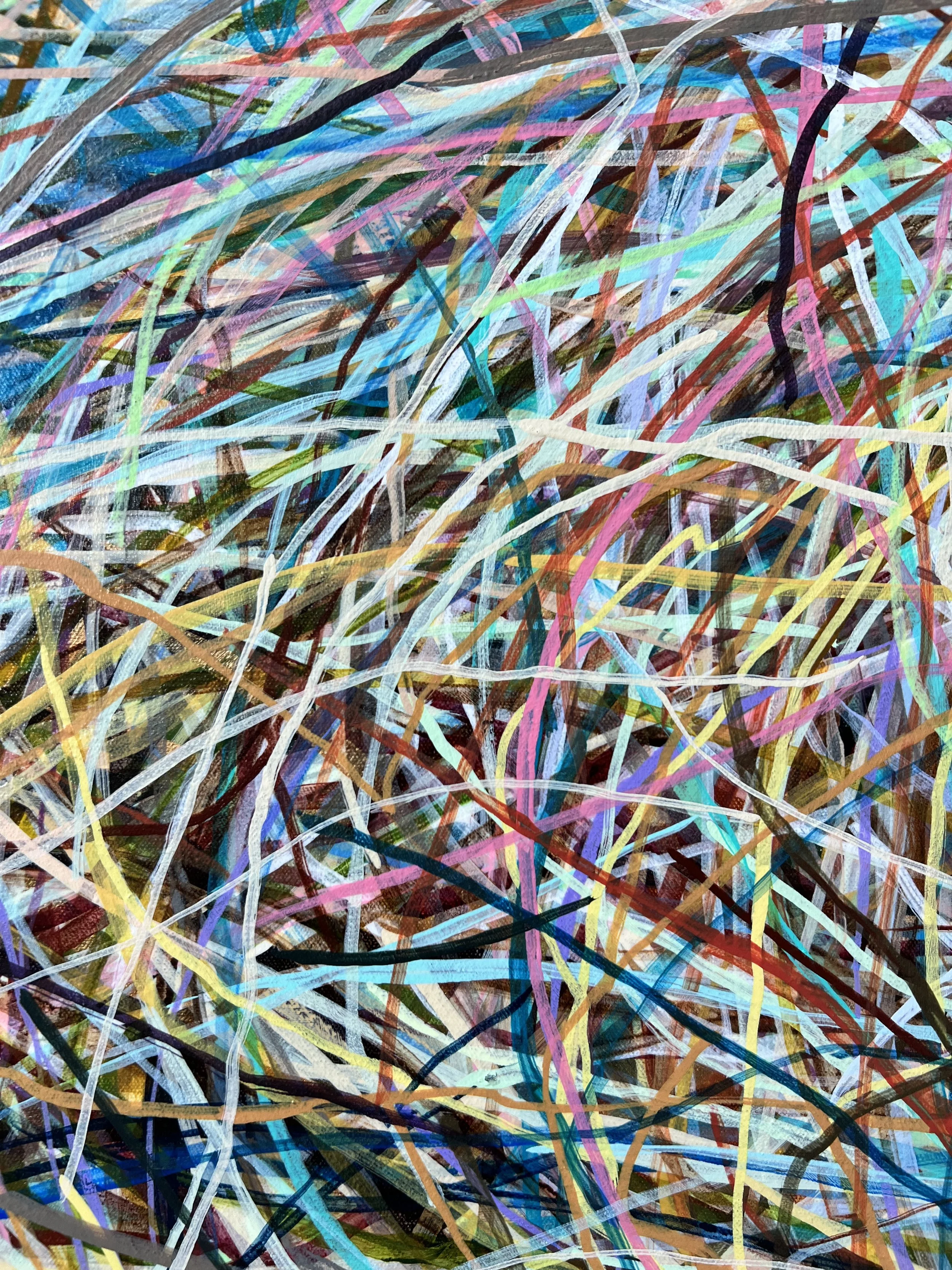 Zoomerang_detail 23_ARTIST LIZ ALDERMAN.jpeg