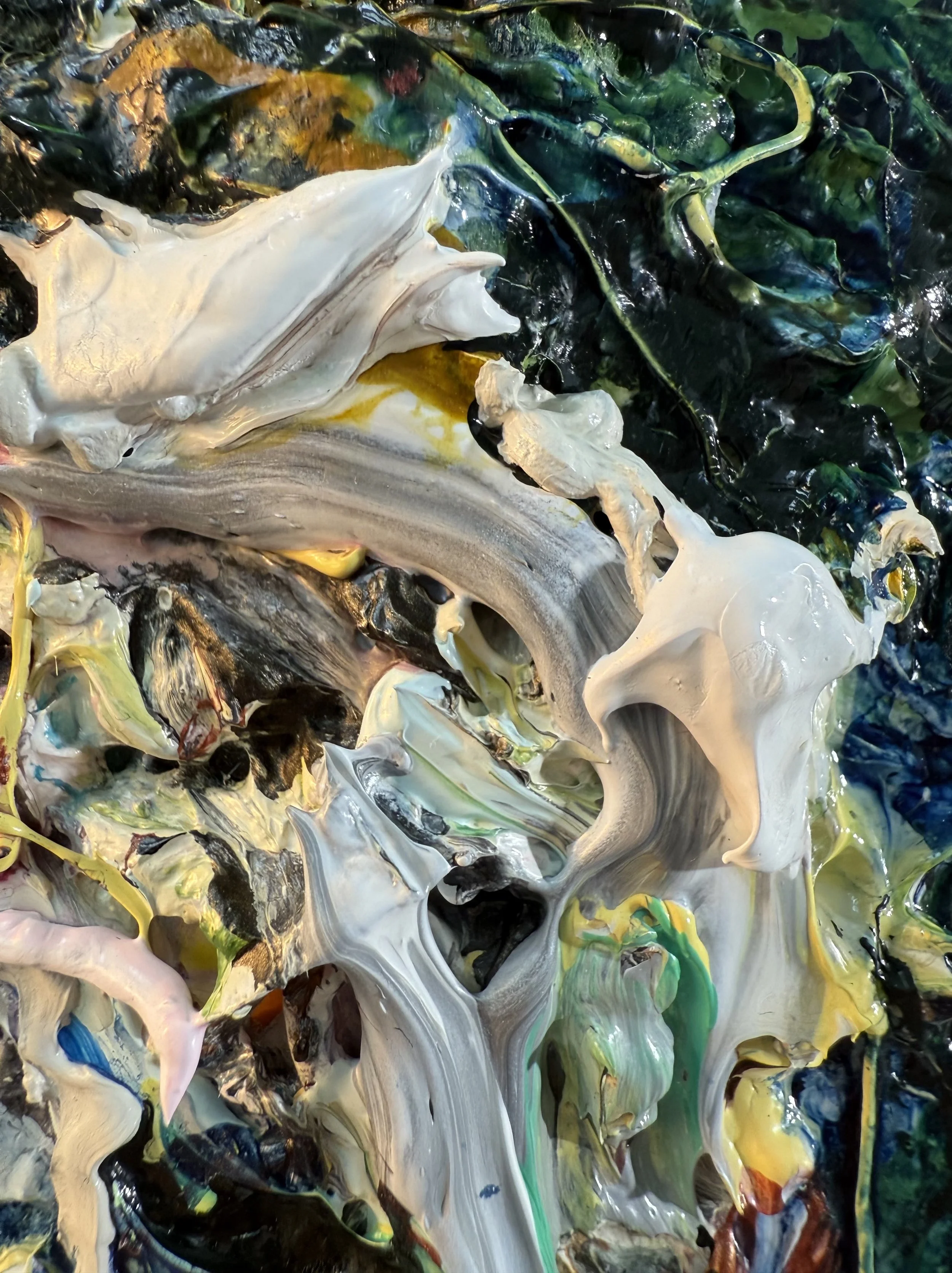 Fred_zoom 16_ARTIST LIZ ALDERMAN.jpeg