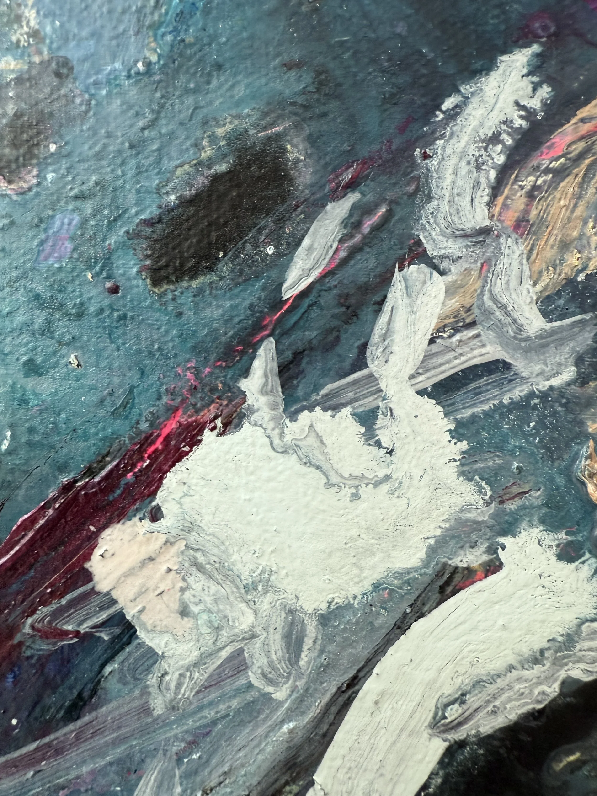 Josh_close up 13_ARTIST LIZ ALDERMAN_BIRD PAINTING.jpeg