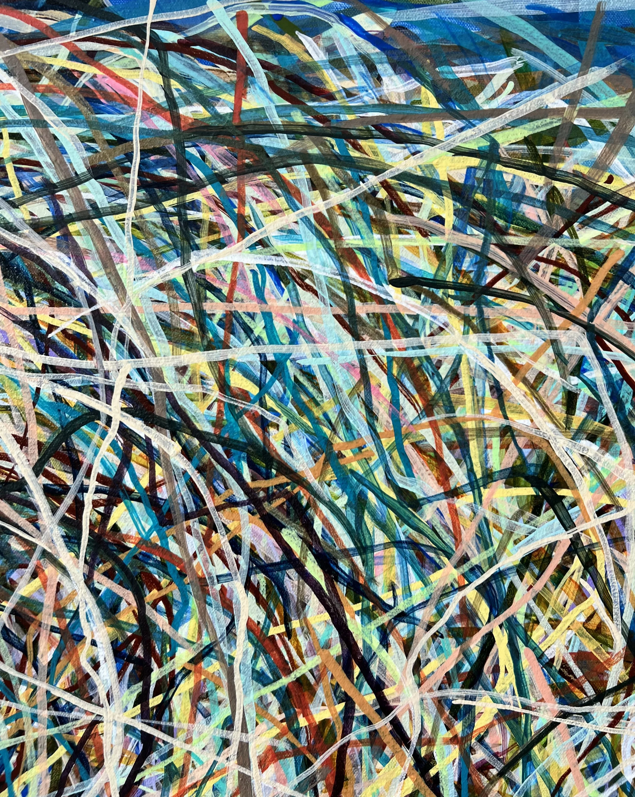 Zoomerang_detail 20_ARTIST LIZ ALDERMAN.jpeg