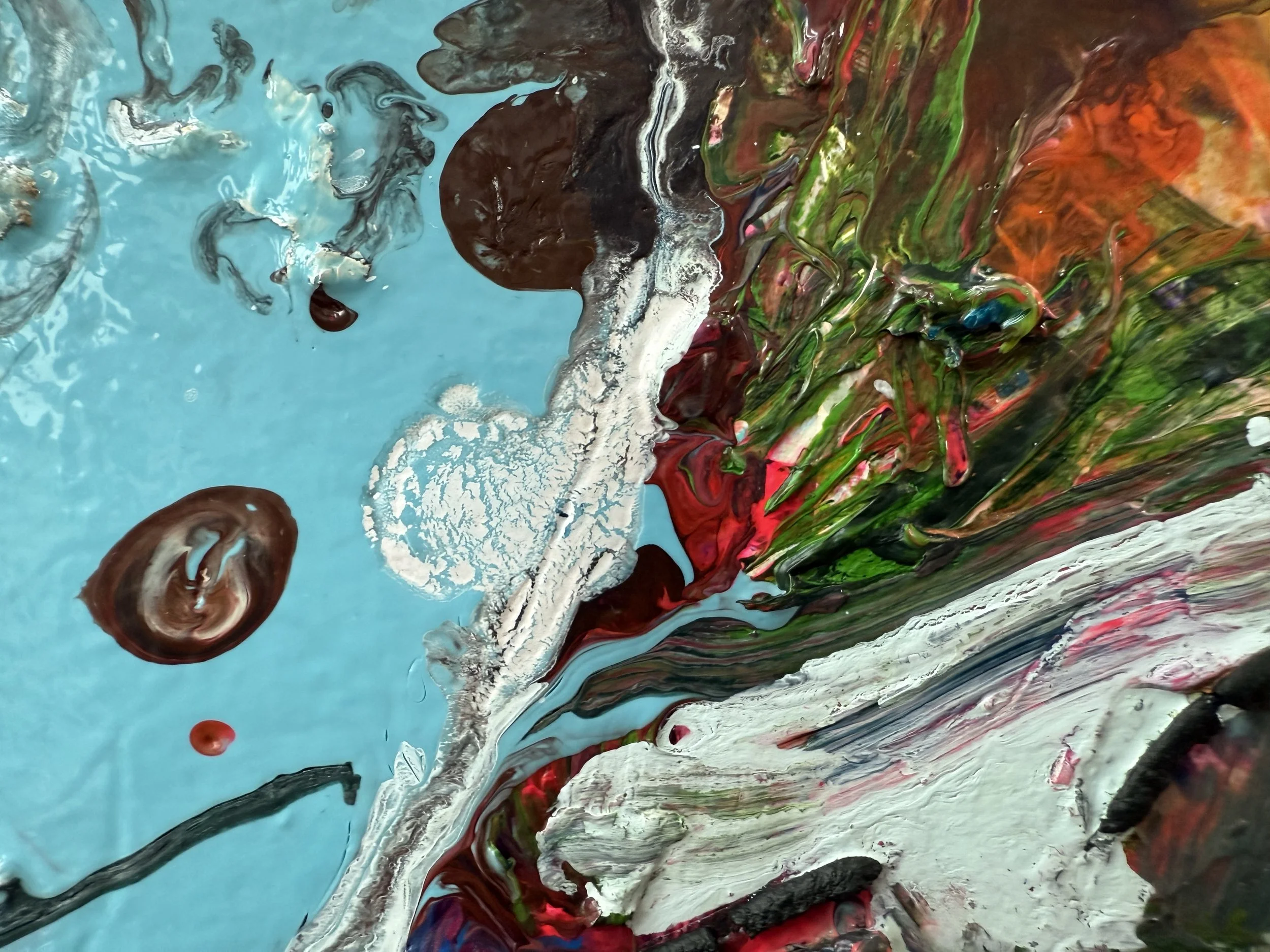 Josh_zoom 15_ARTIST LIZ ALDERMAN_BIRD PAINTING.jpeg