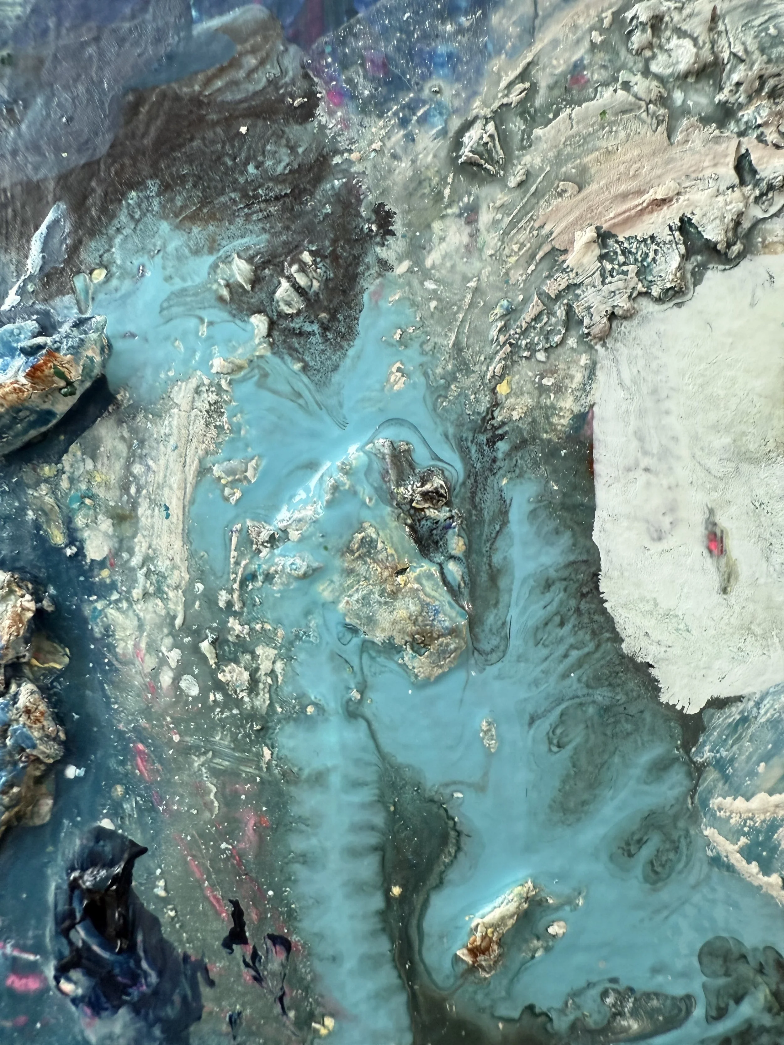 Josh_close up 24_ARTIST LIZ ALDERMAN_BIRD PAINTING.jpeg