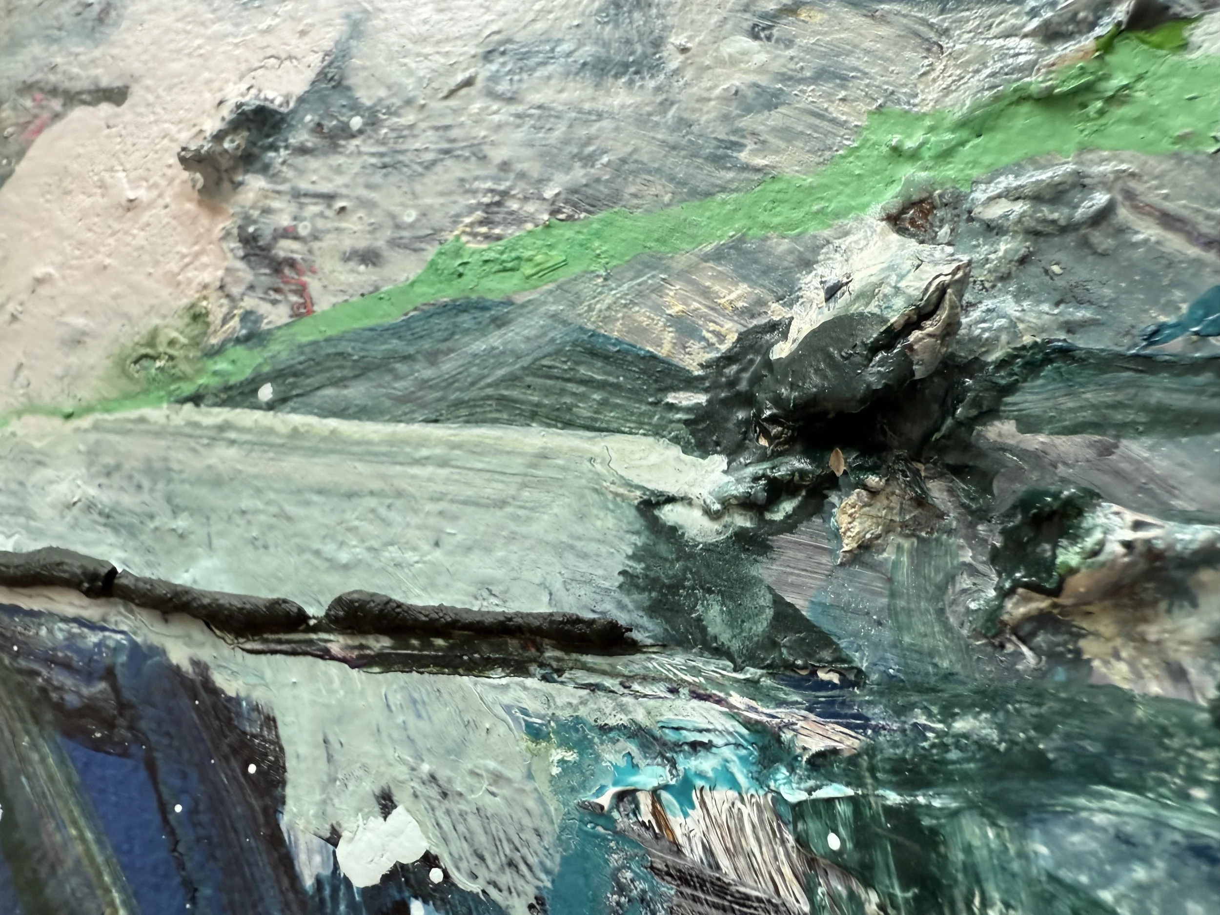 Josh_zoom 17_ARTIST LIZ ALDERMAN_BIRD PAINTING.jpeg