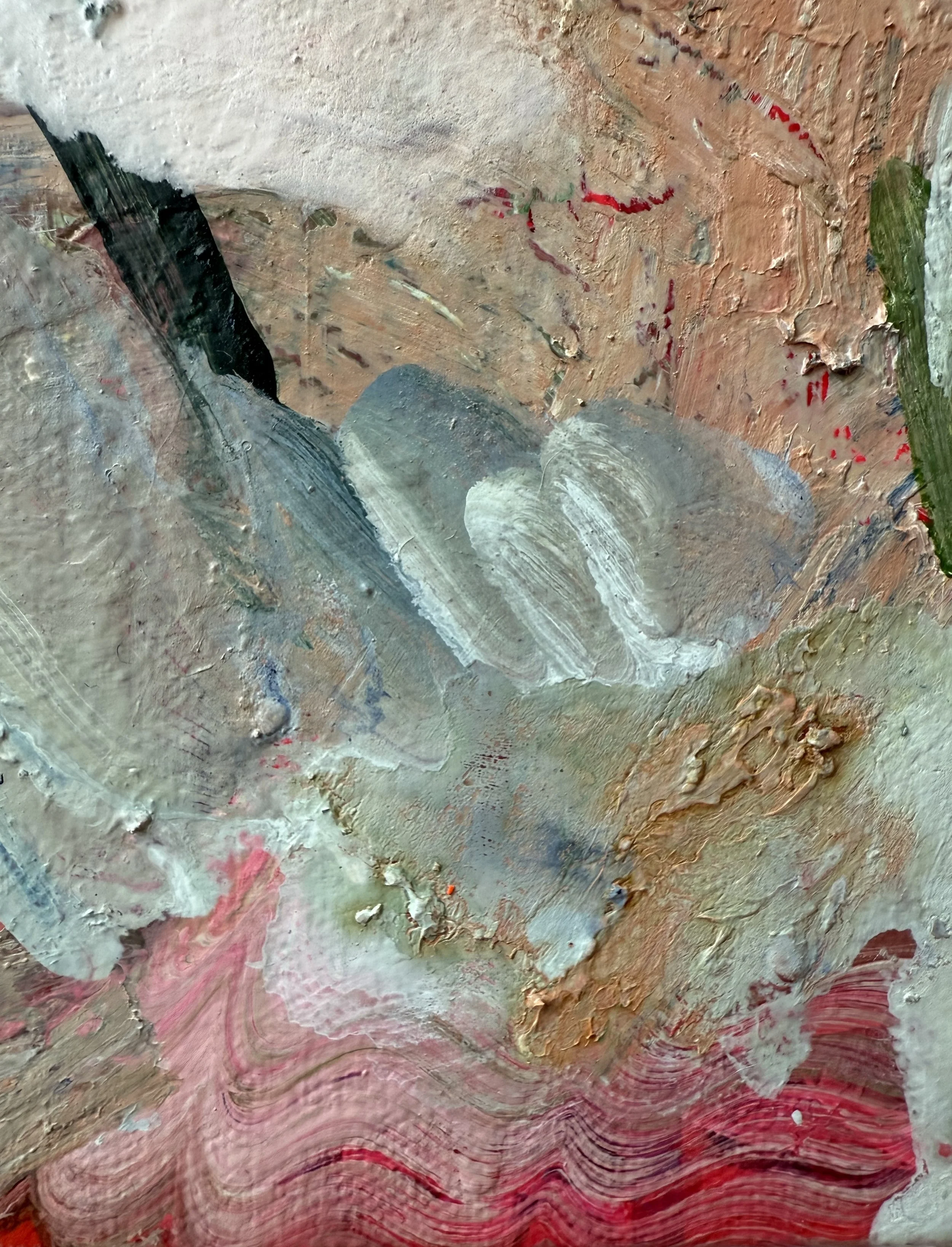 Josh_close up 33_ARTIST LIZ ALDERMAN_BIRD PAINTING.jpeg