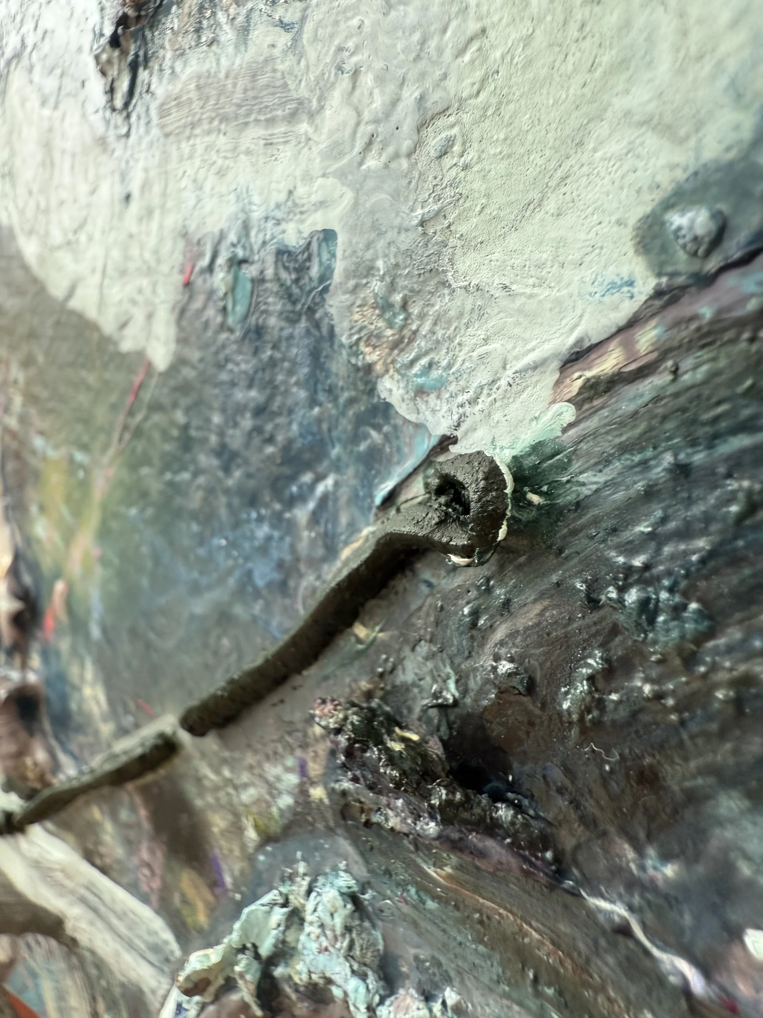 Josh_raking view 2_ARTIST LIZ ALDERMAN_BIRD PAINTING.jpeg